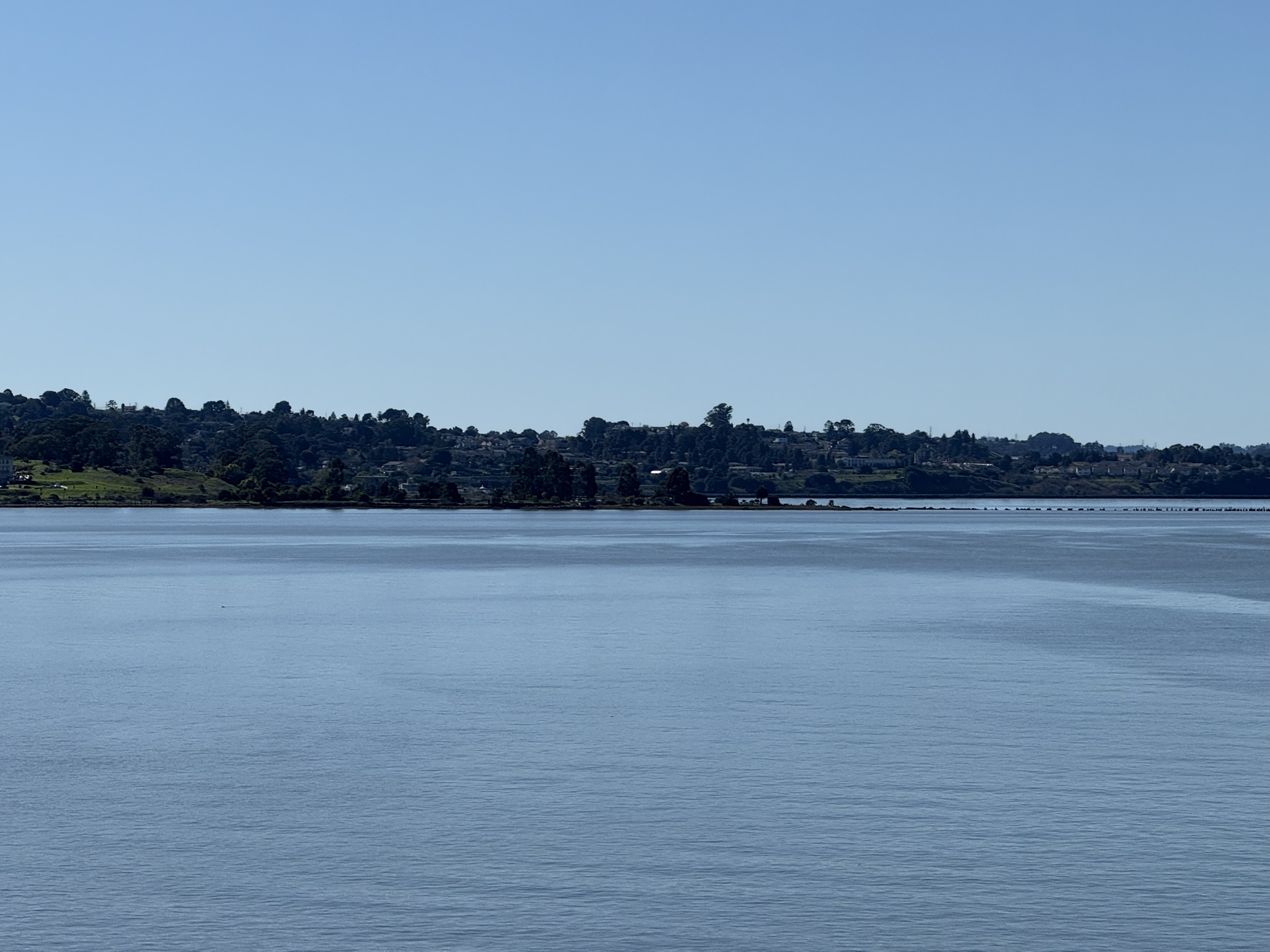 San Pablo Bay Regional Shoreline Trail