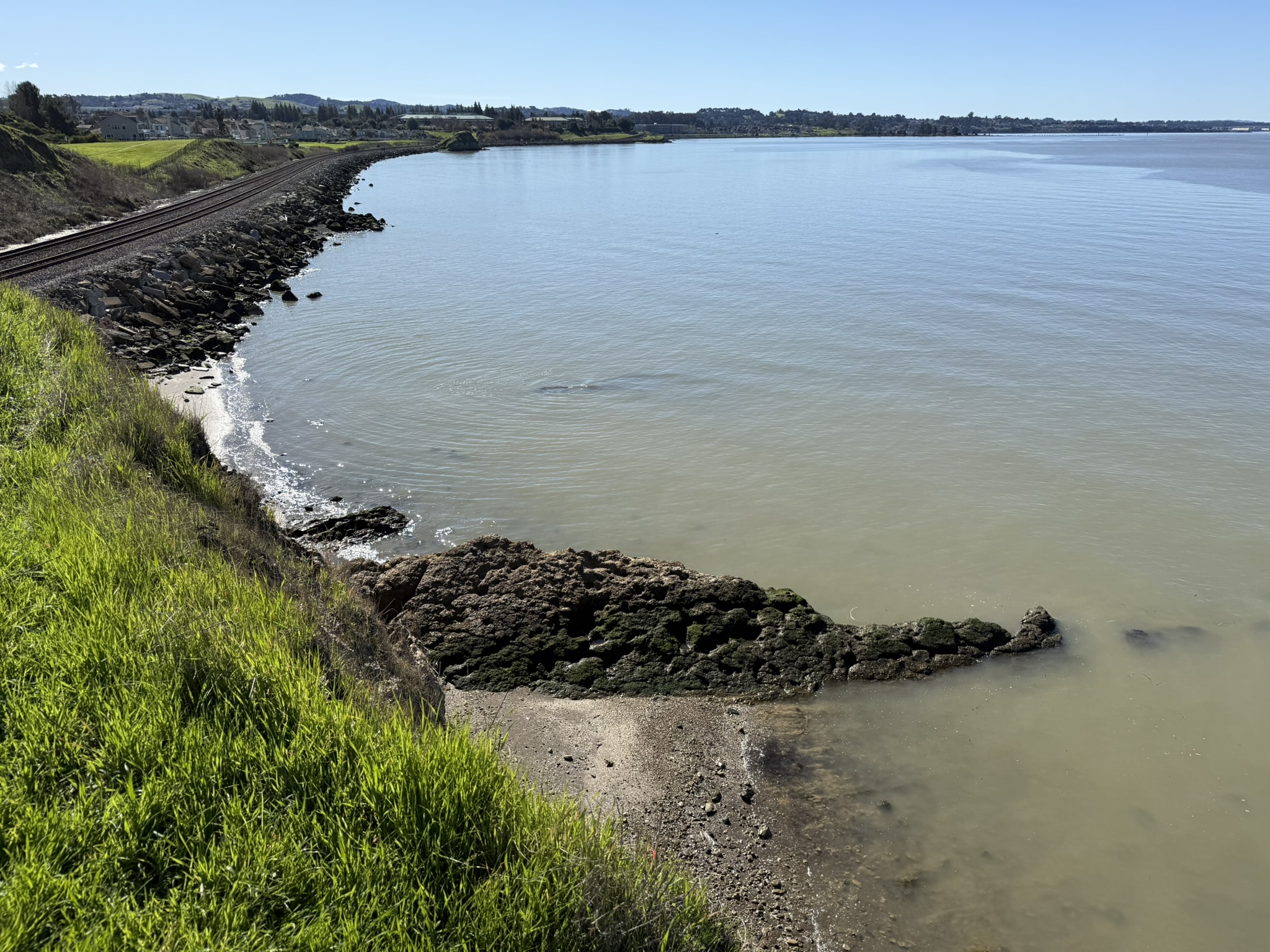 San Pablo Bay Regional Shoreline Trail