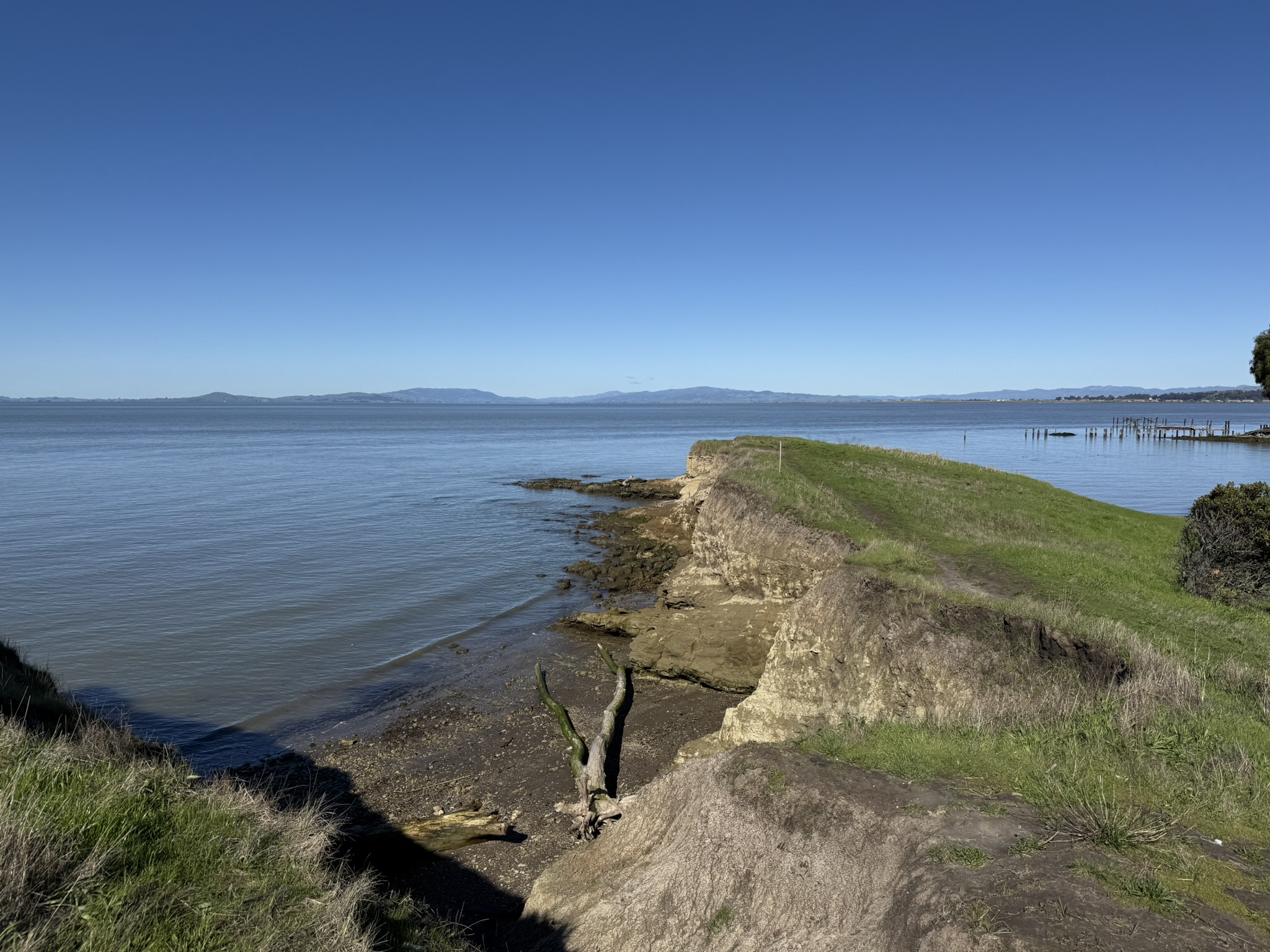 San Pablo Bay Regional Shoreline Trail