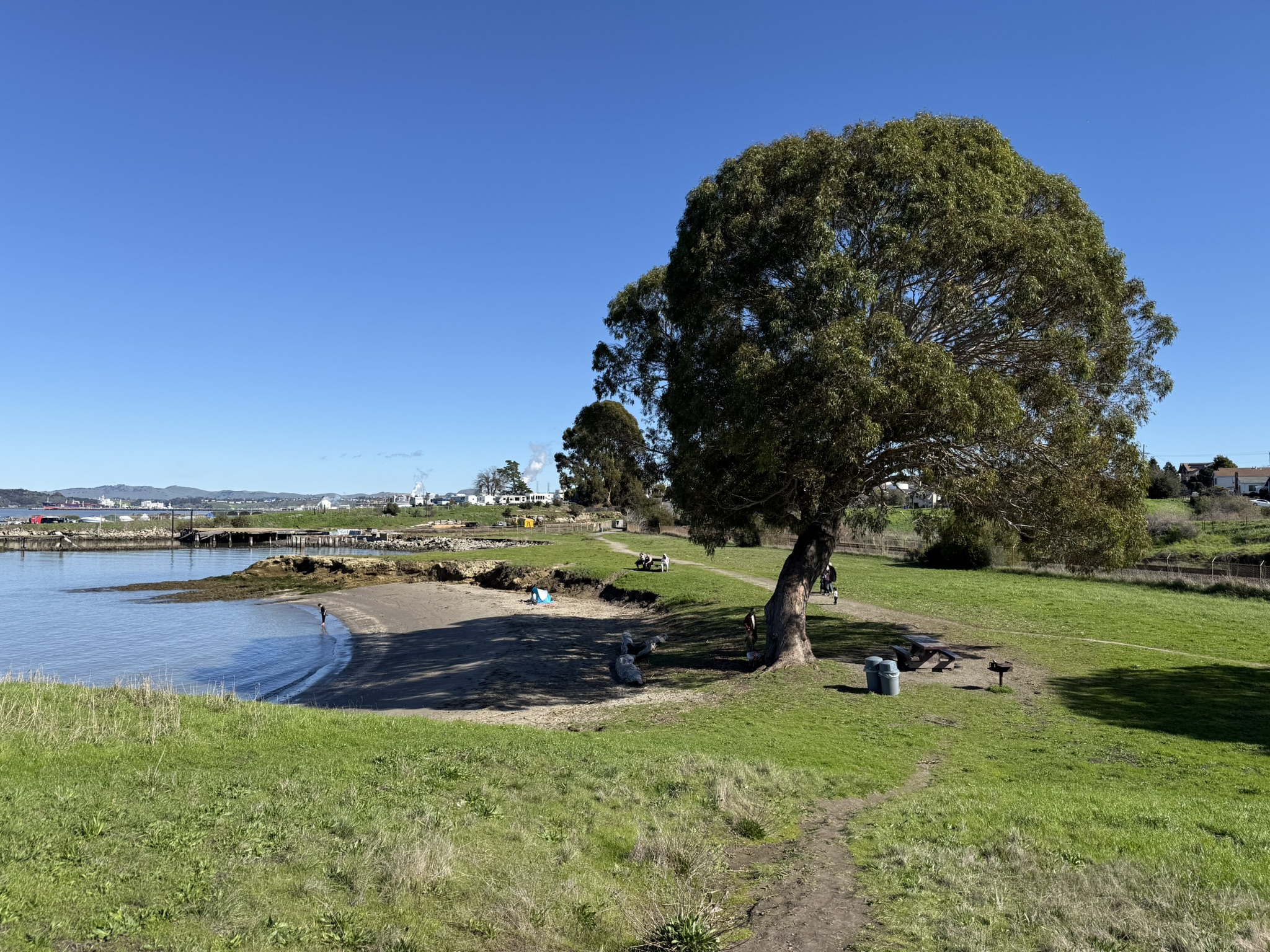 San Pablo Bay Regional Shoreline Trail