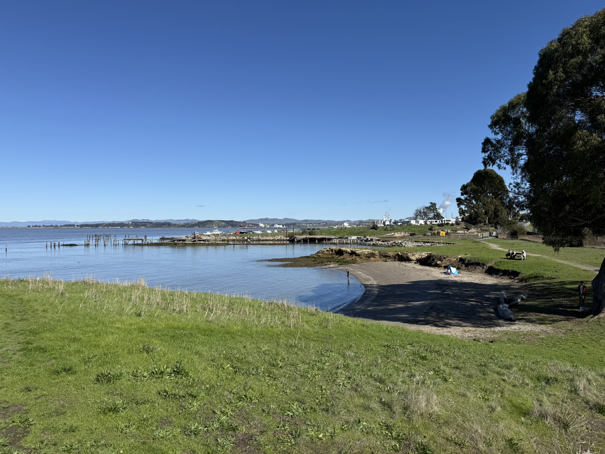 San Pablo Bay Regional Shoreline Trail