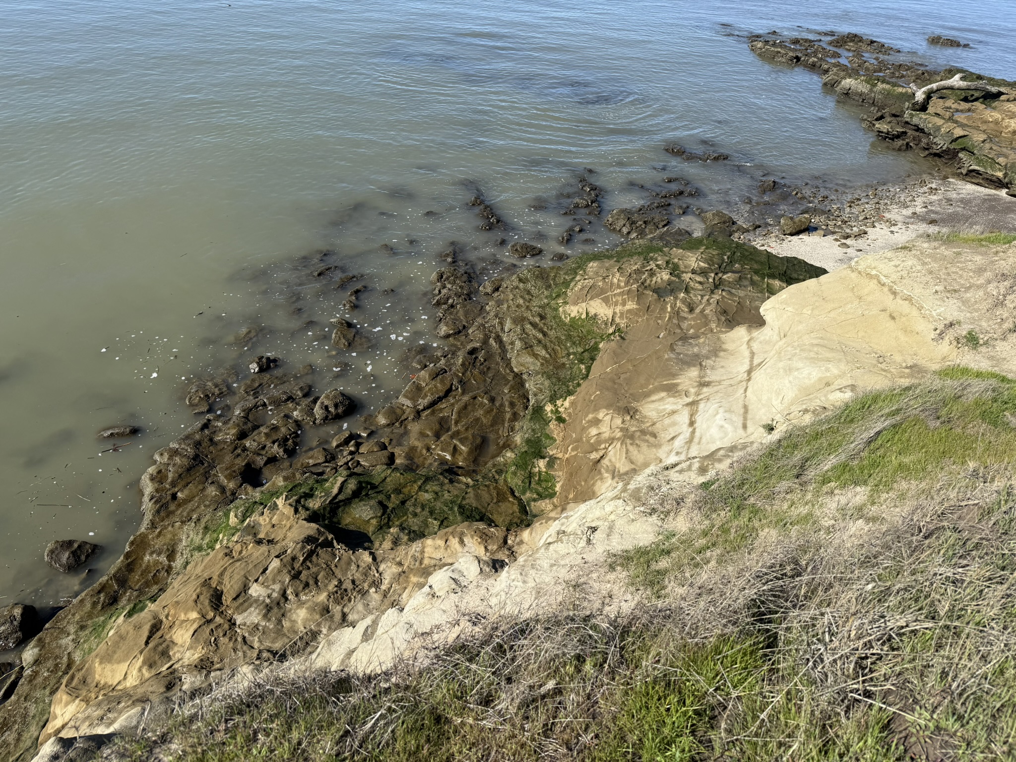 San Pablo Bay Regional Shoreline Trail