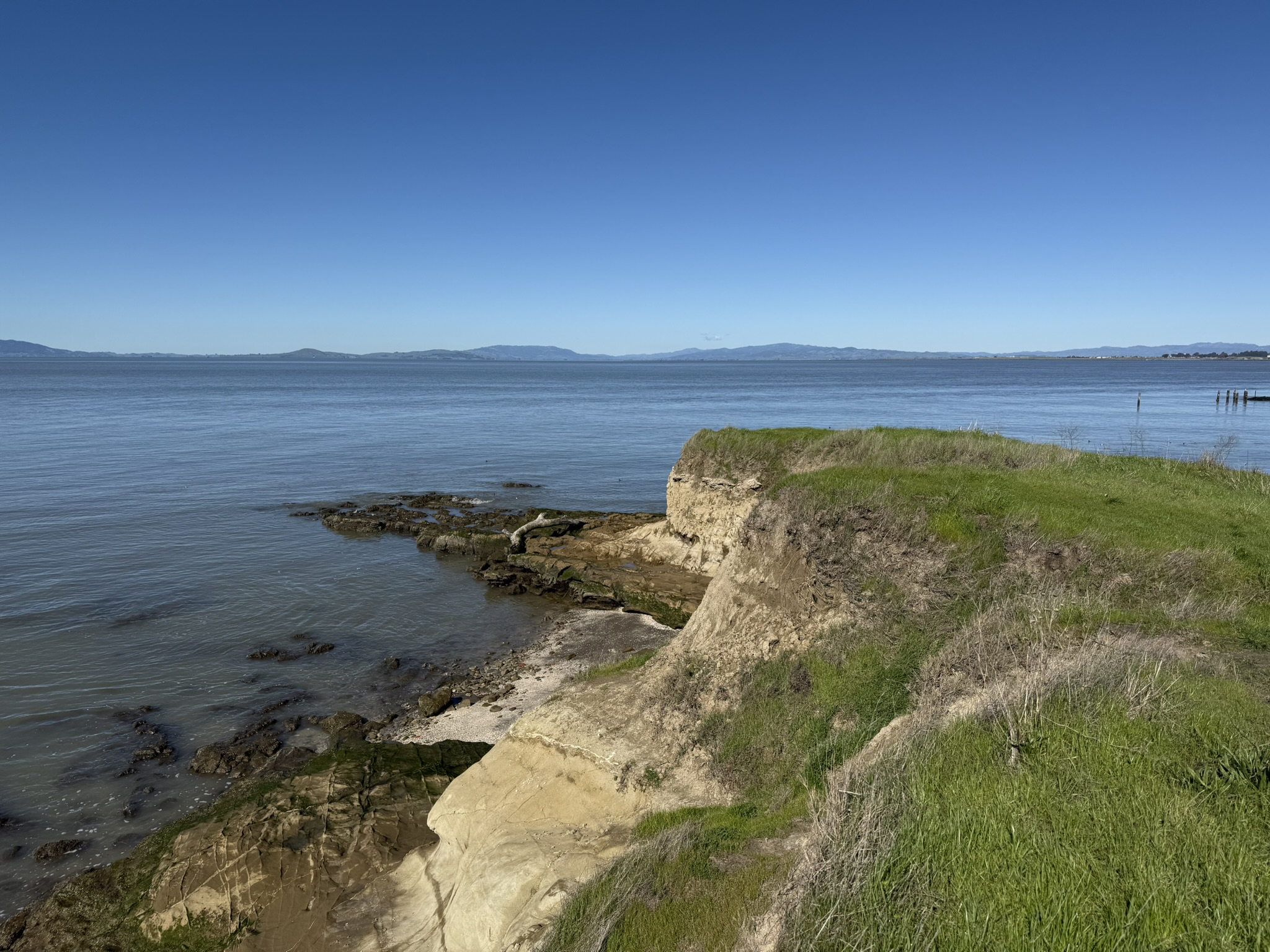 San Pablo Bay Regional Shoreline Trail