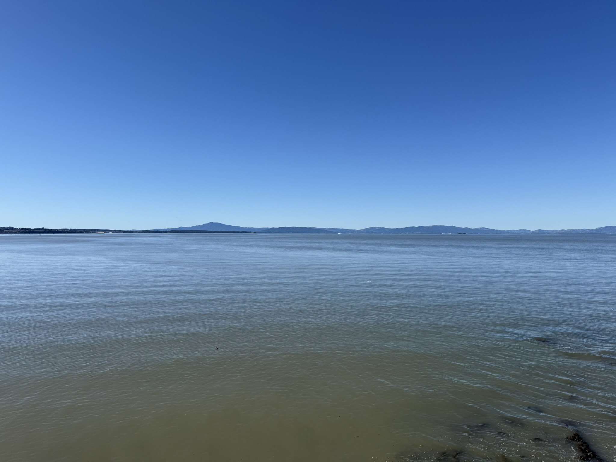 San Pablo Bay Regional Shoreline Trail