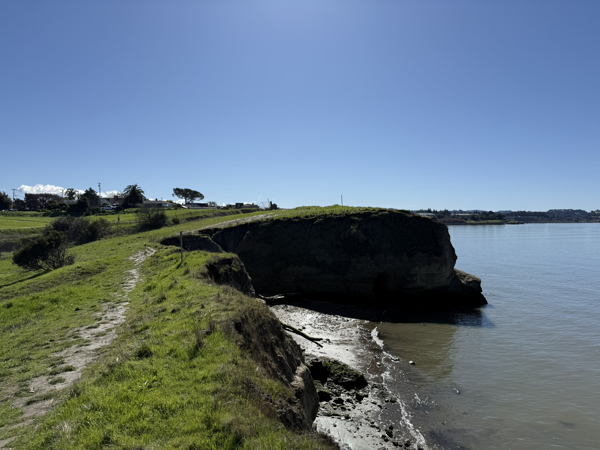 San Pablo Bay Regional Shoreline Trail