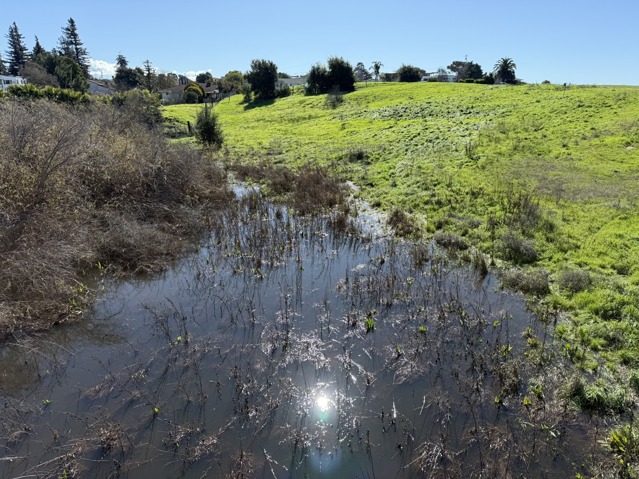 San Pablo Bay Regional Shoreline Trail