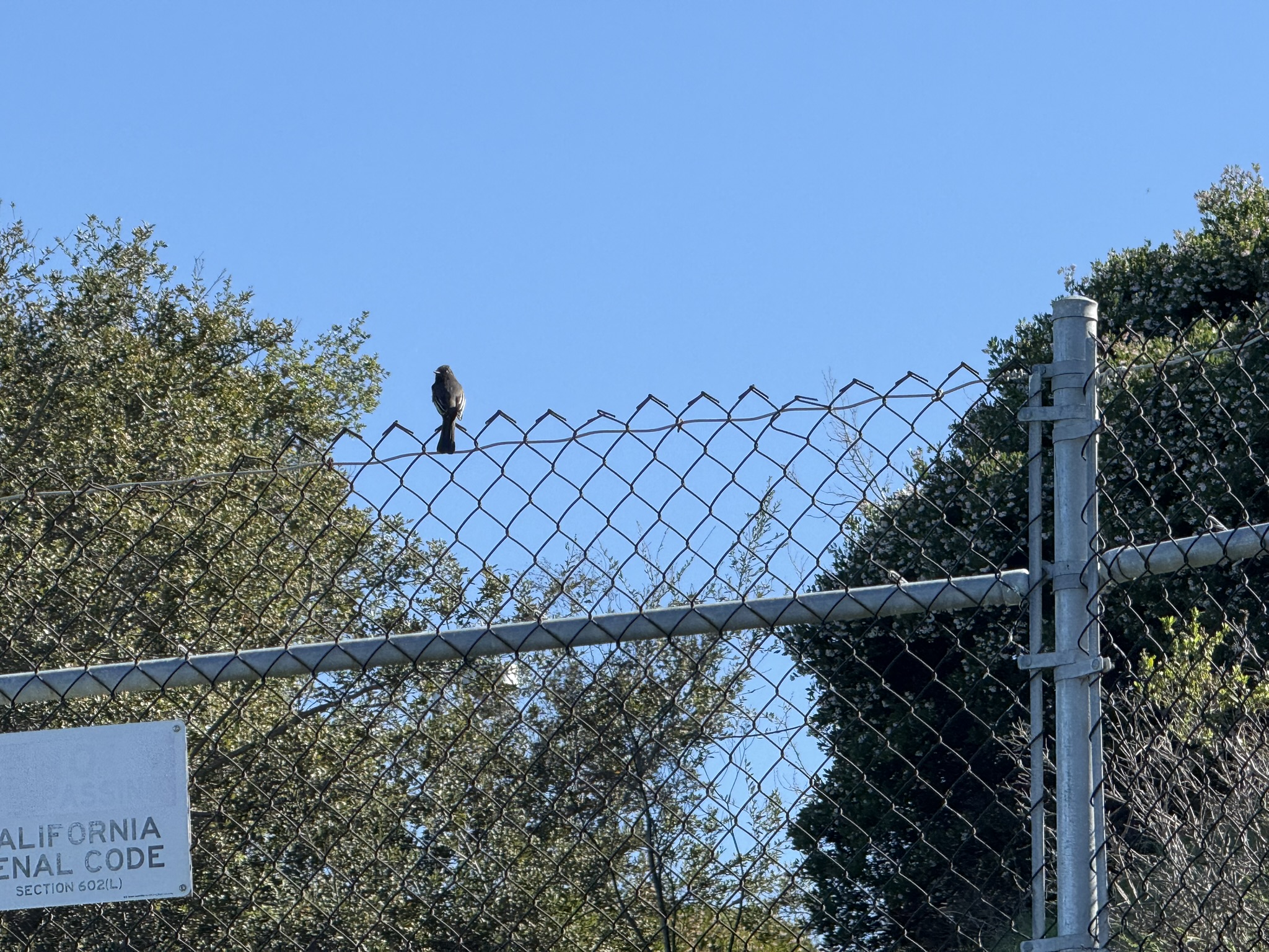 San Pablo Bay Regional Shoreline Trail