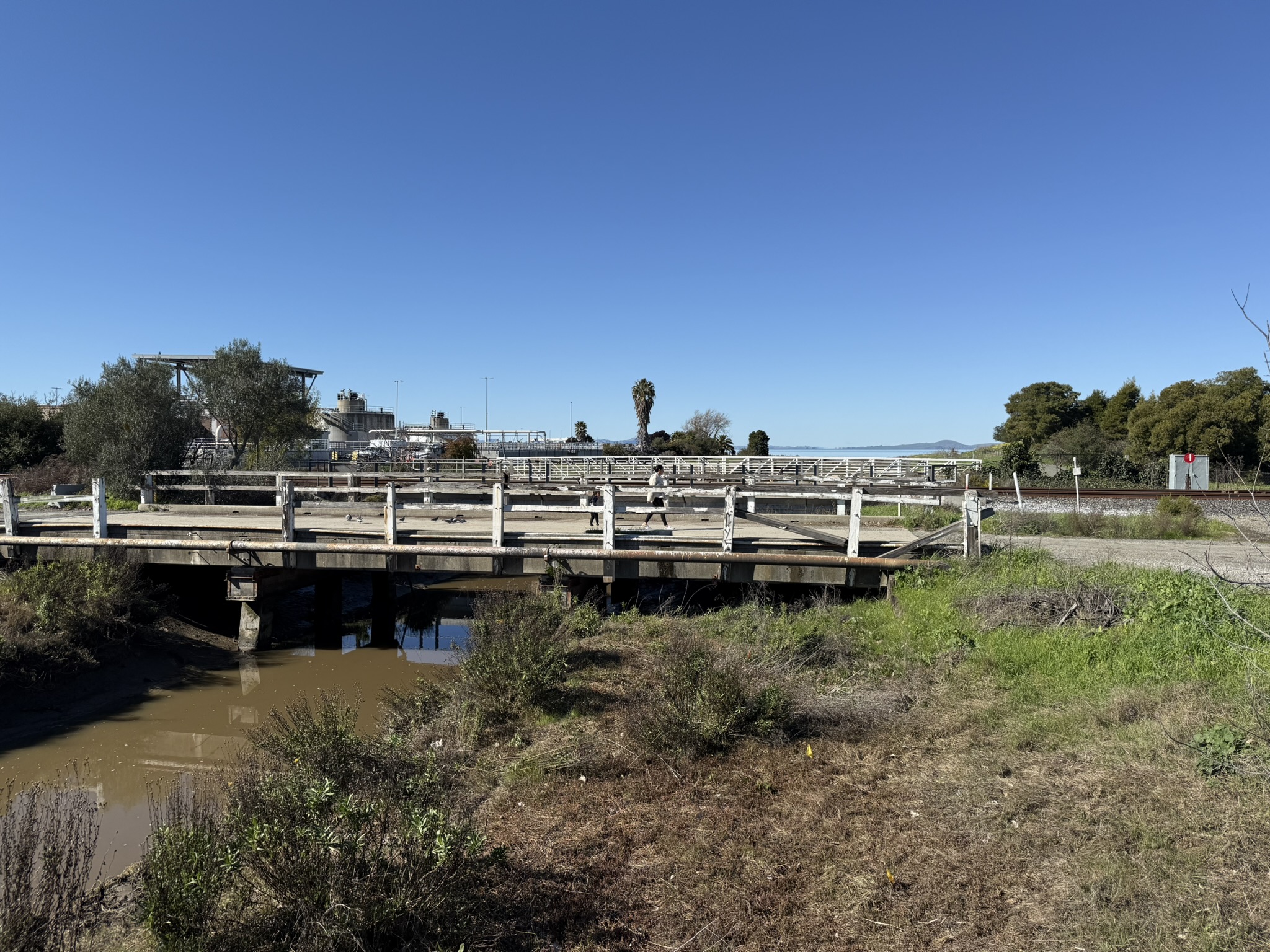 San Pablo Bay Regional Shoreline Trail