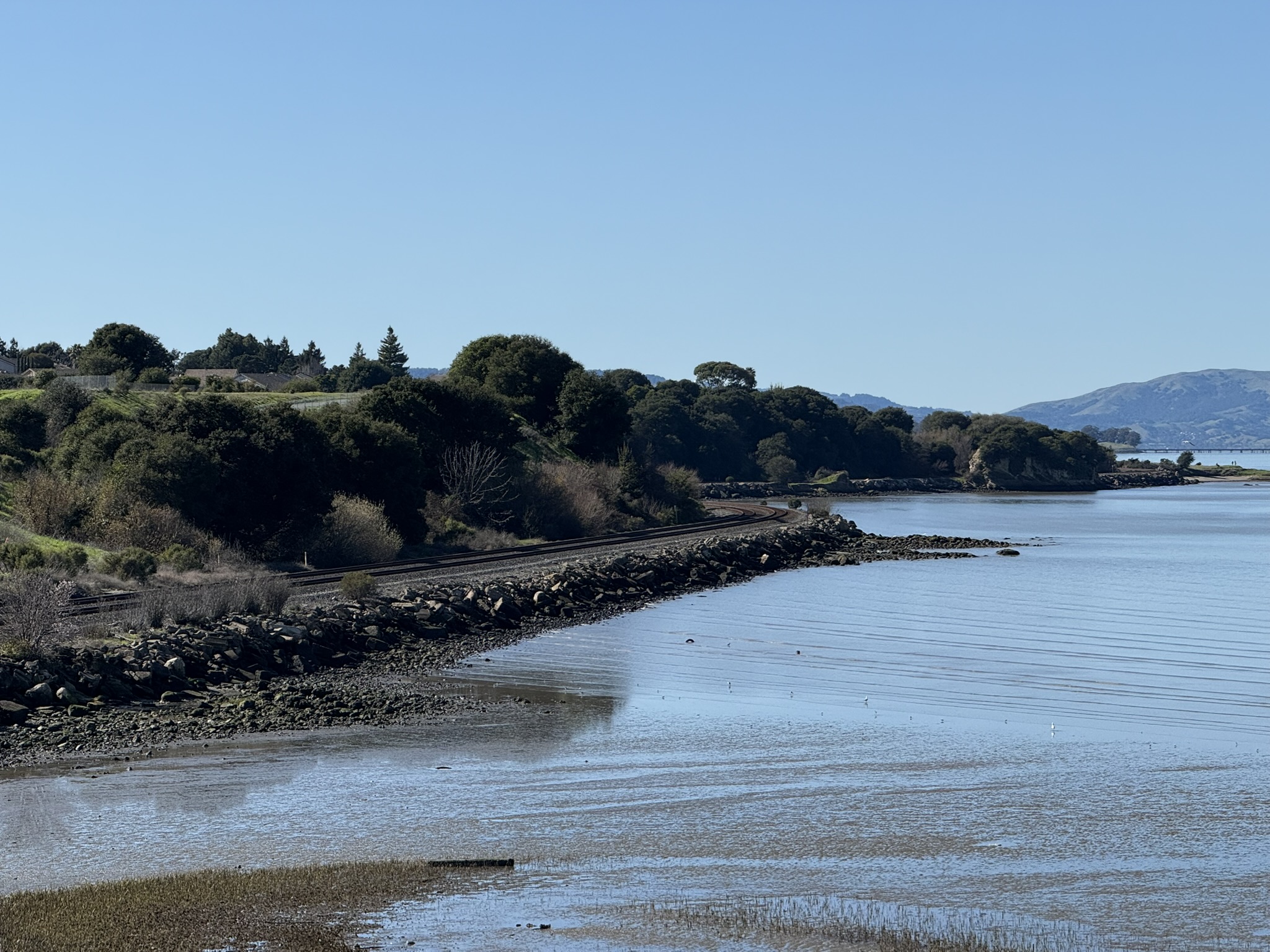 San Pablo Bay Regional Shoreline Trail