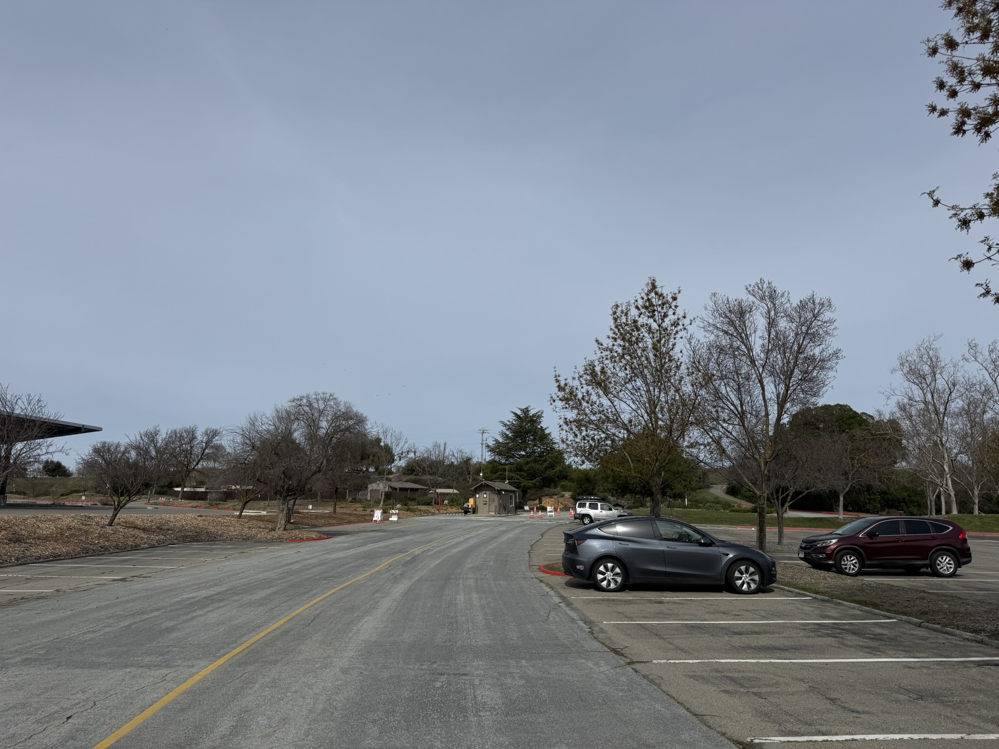 Shadow Cliffs Regional Recreation Area