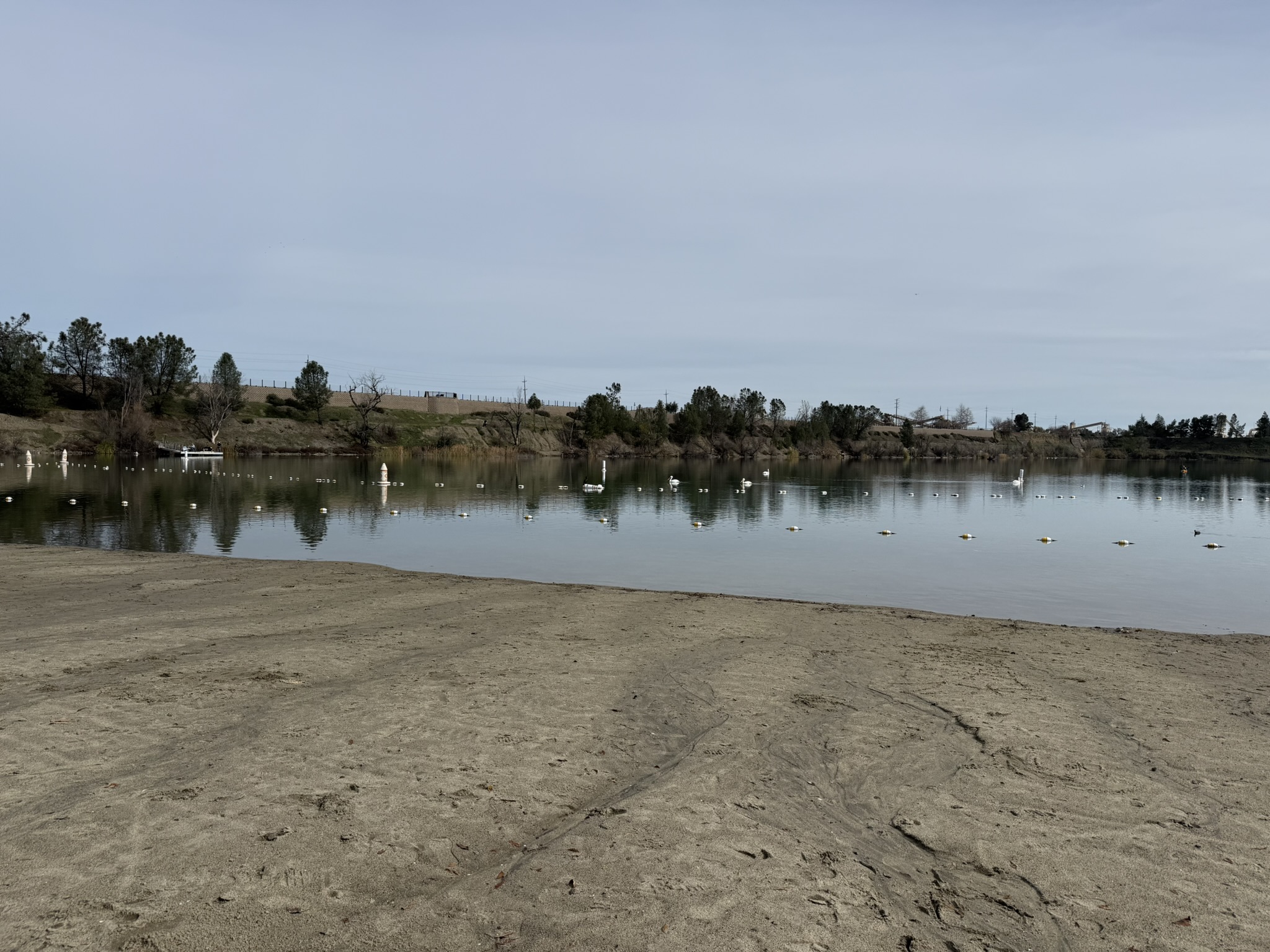 Shadow Cliffs Regional Recreation Area