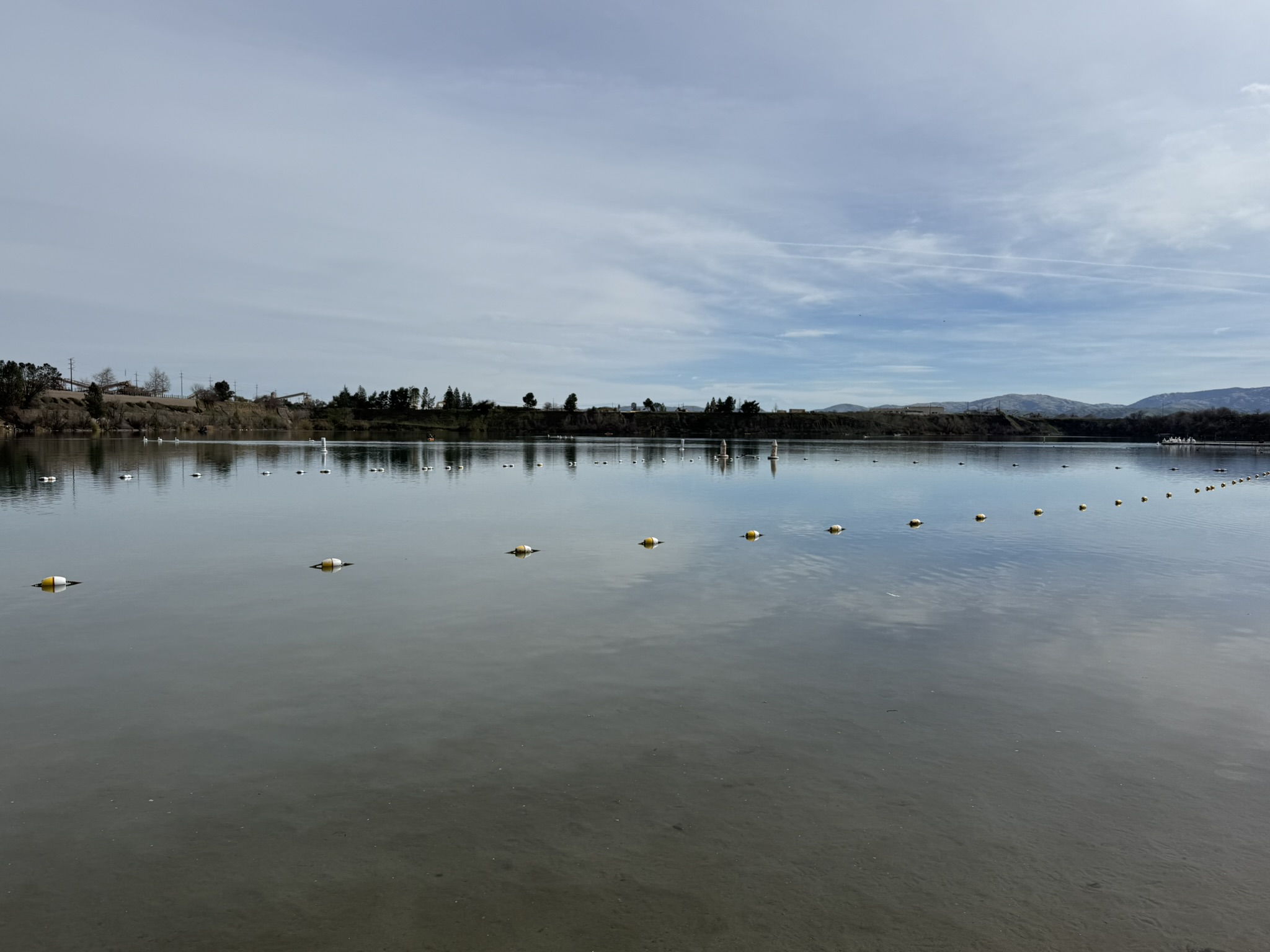 Shadow Cliffs Regional Recreation Area