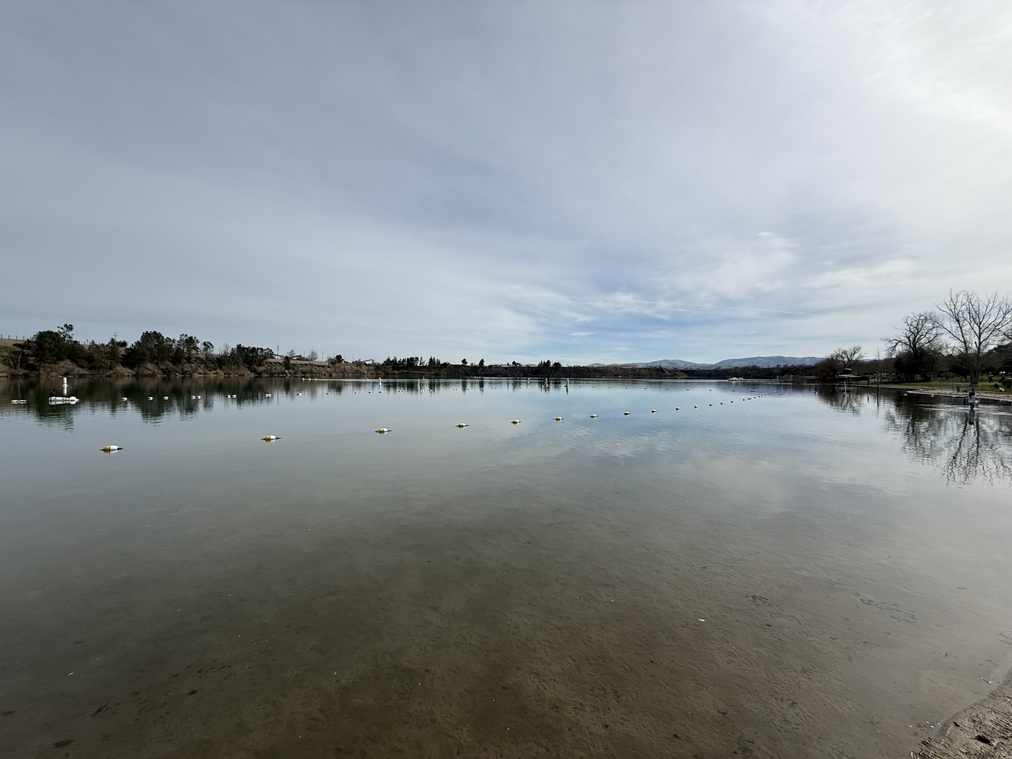 Shadow Cliffs Regional Recreation Area