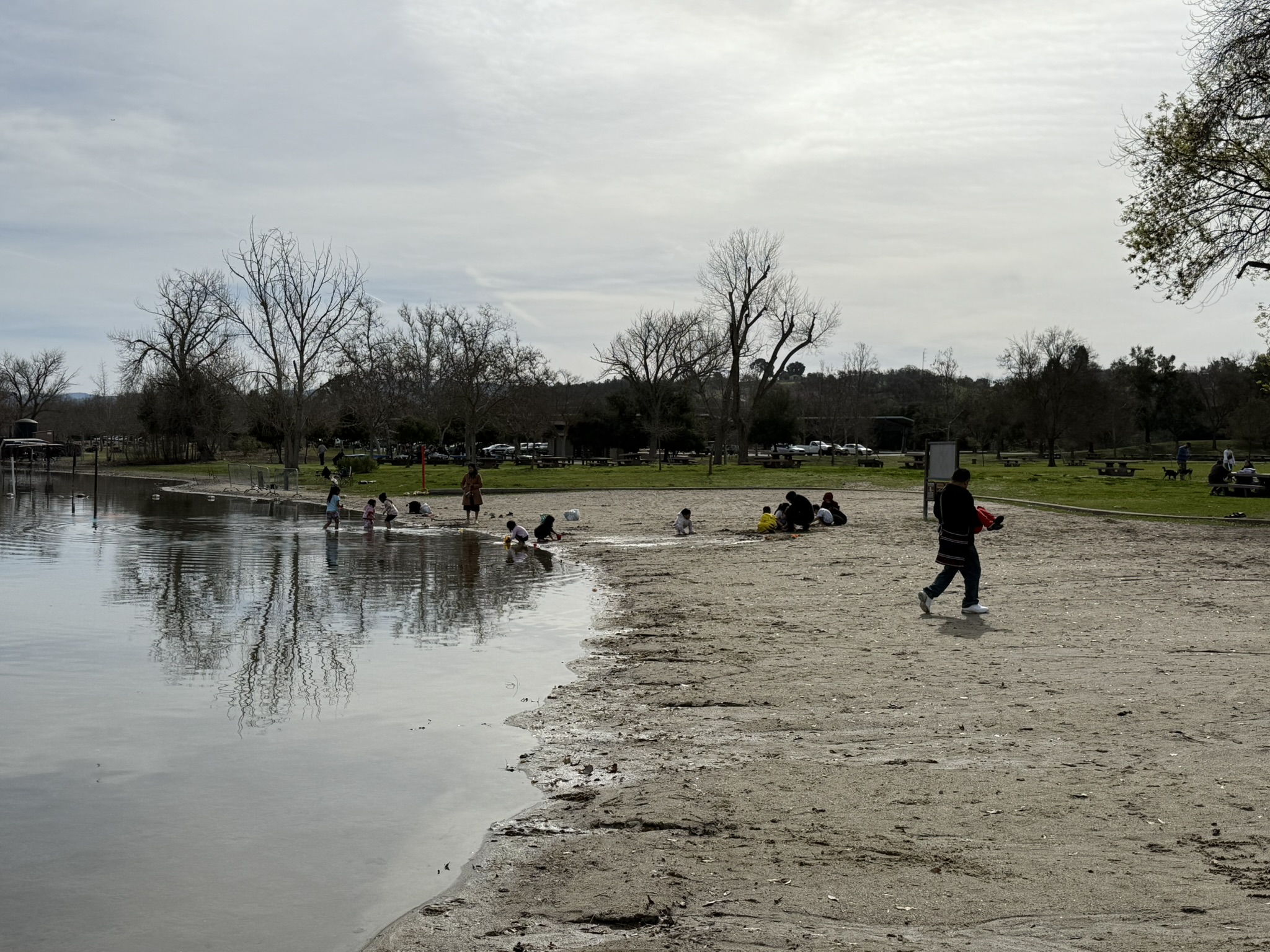 Shadow Cliffs Regional Recreation Area