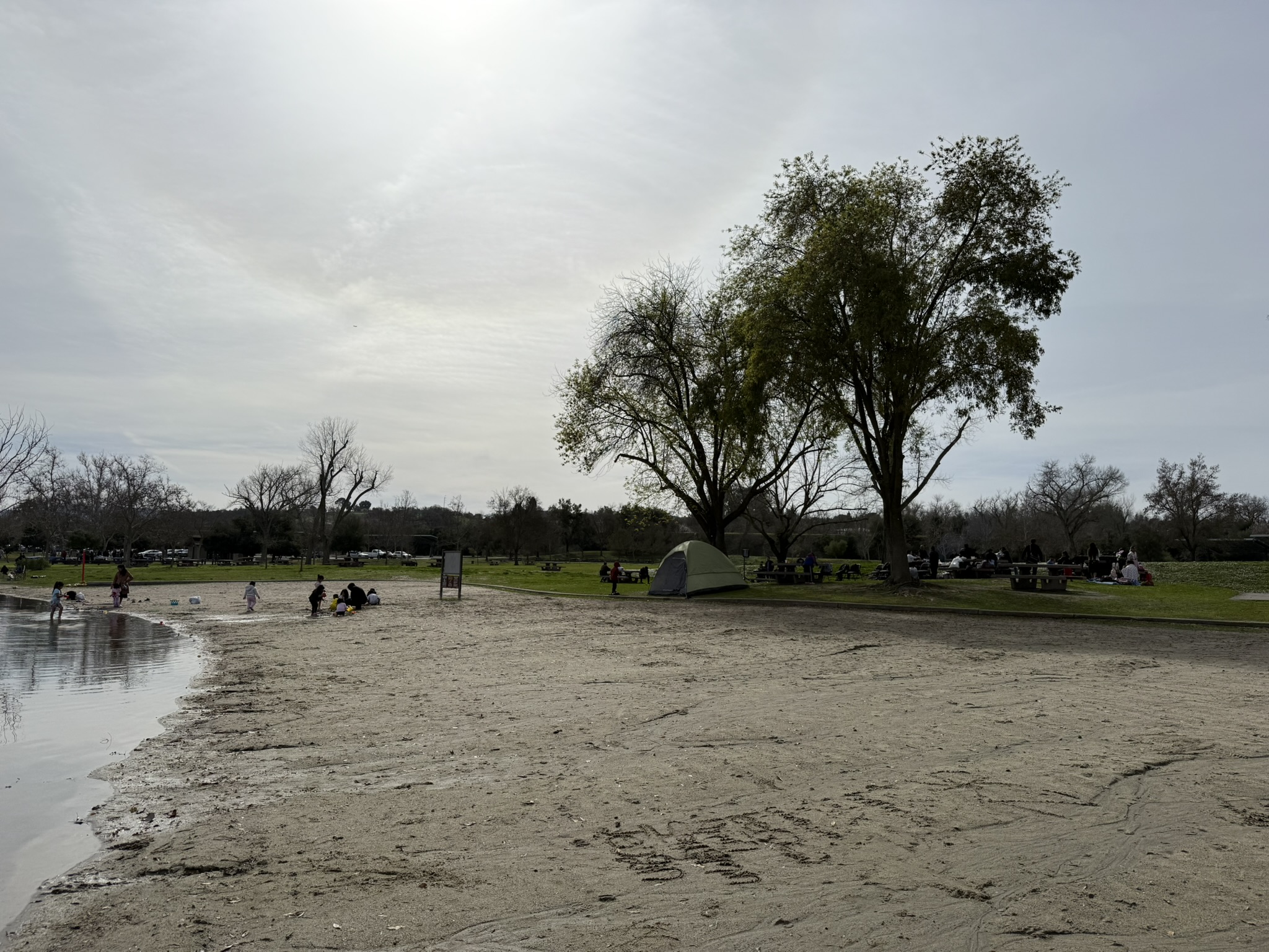 Shadow Cliffs Regional Recreation Area