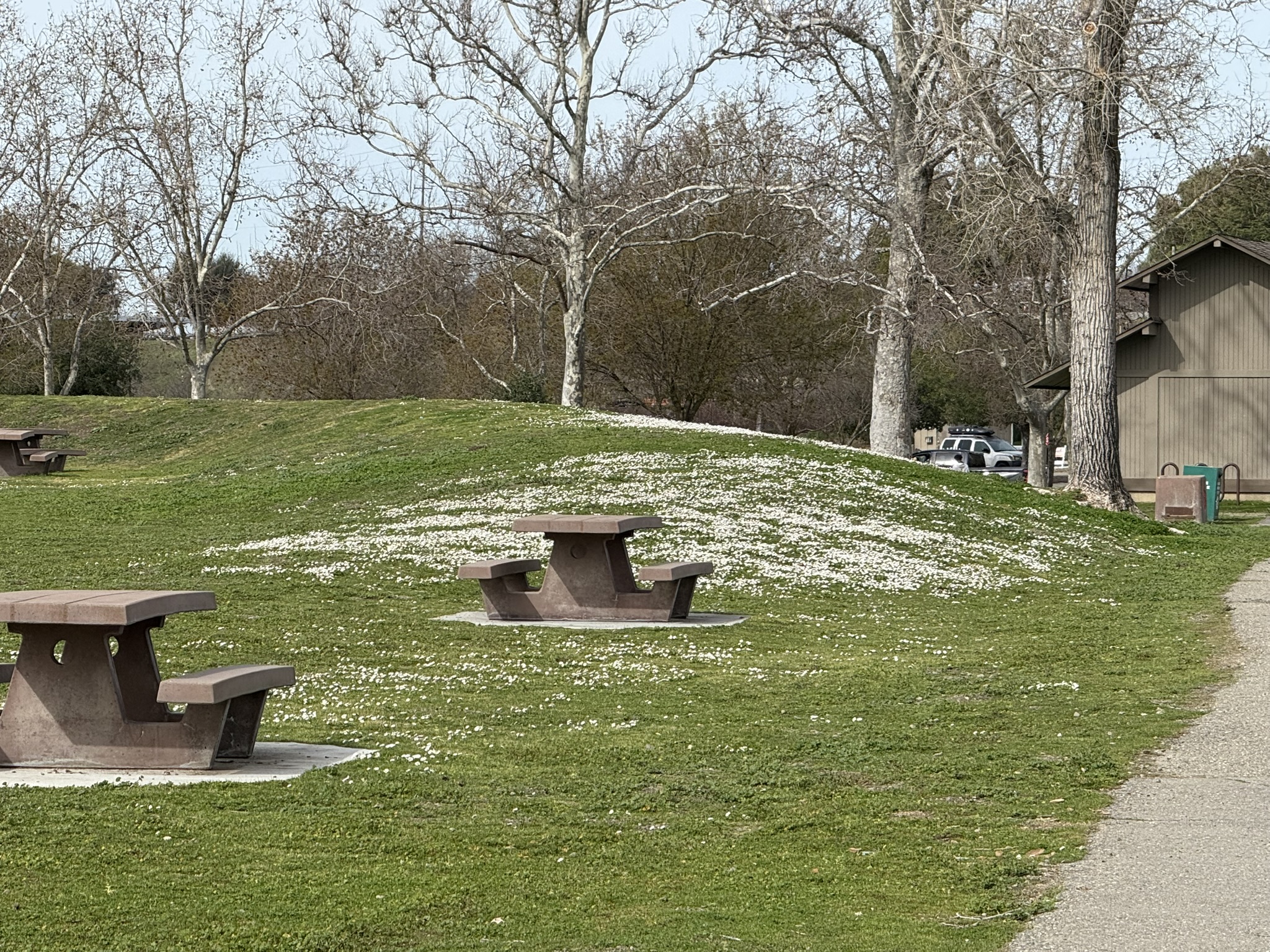 Shadow Cliffs Regional Recreation Area