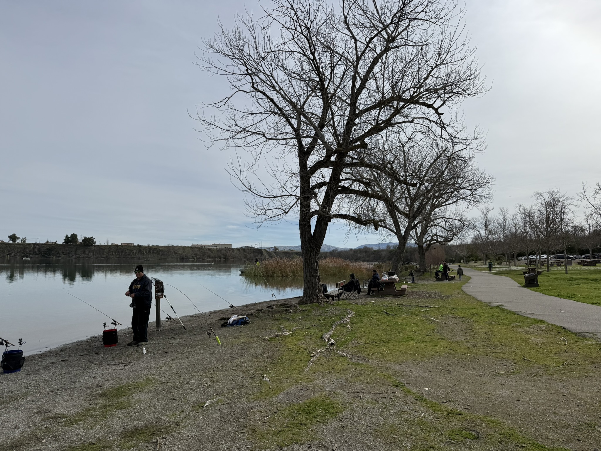 Shadow Cliffs Regional Recreation Area