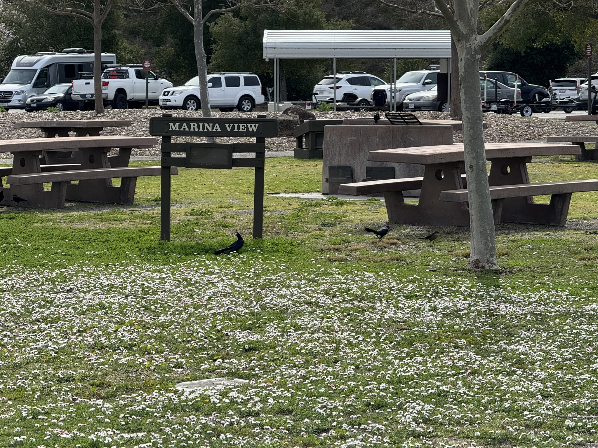 Shadow Cliffs Regional Recreation Area