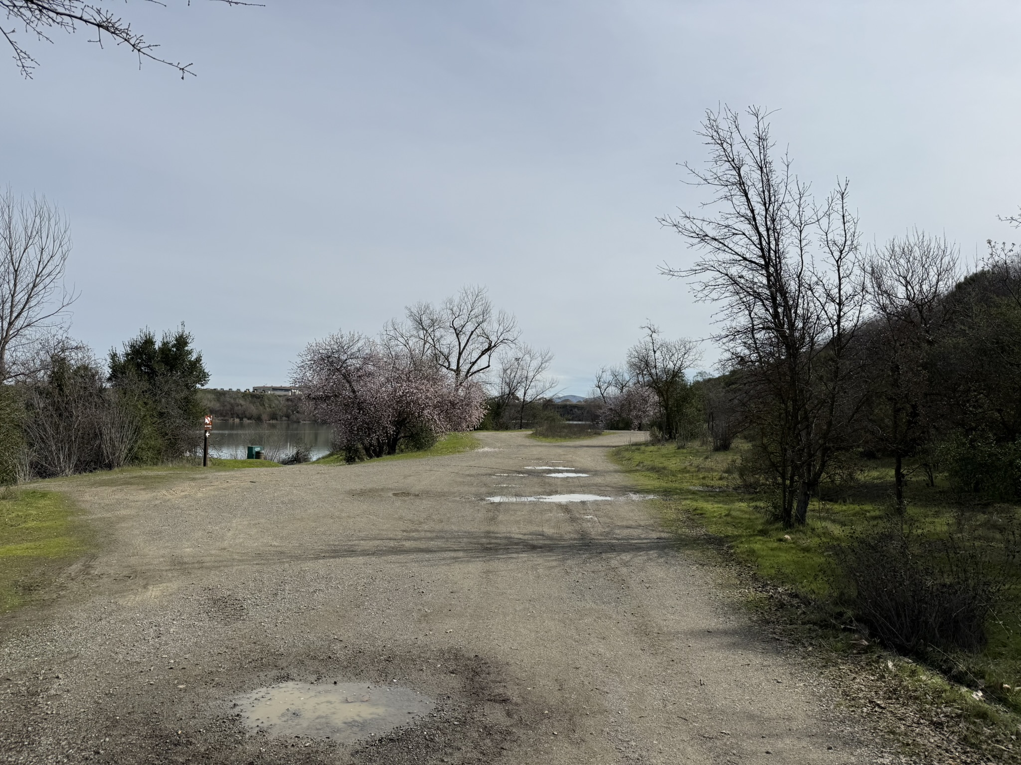 Shadow Cliffs Regional Recreation Area