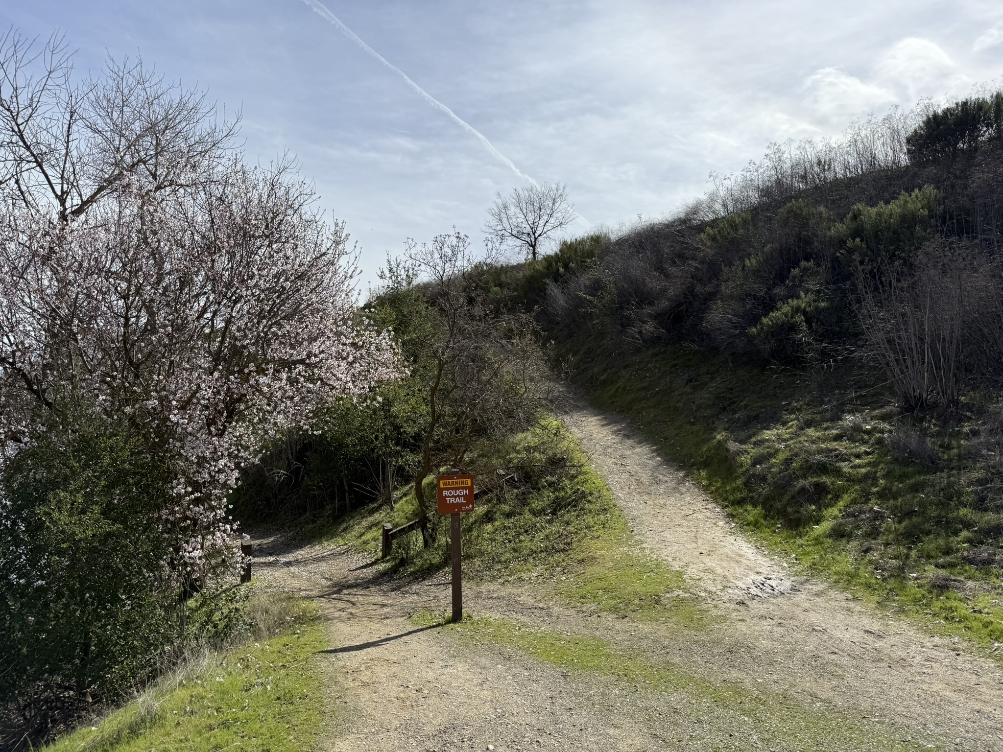 Shadow Cliffs Regional Recreation Area