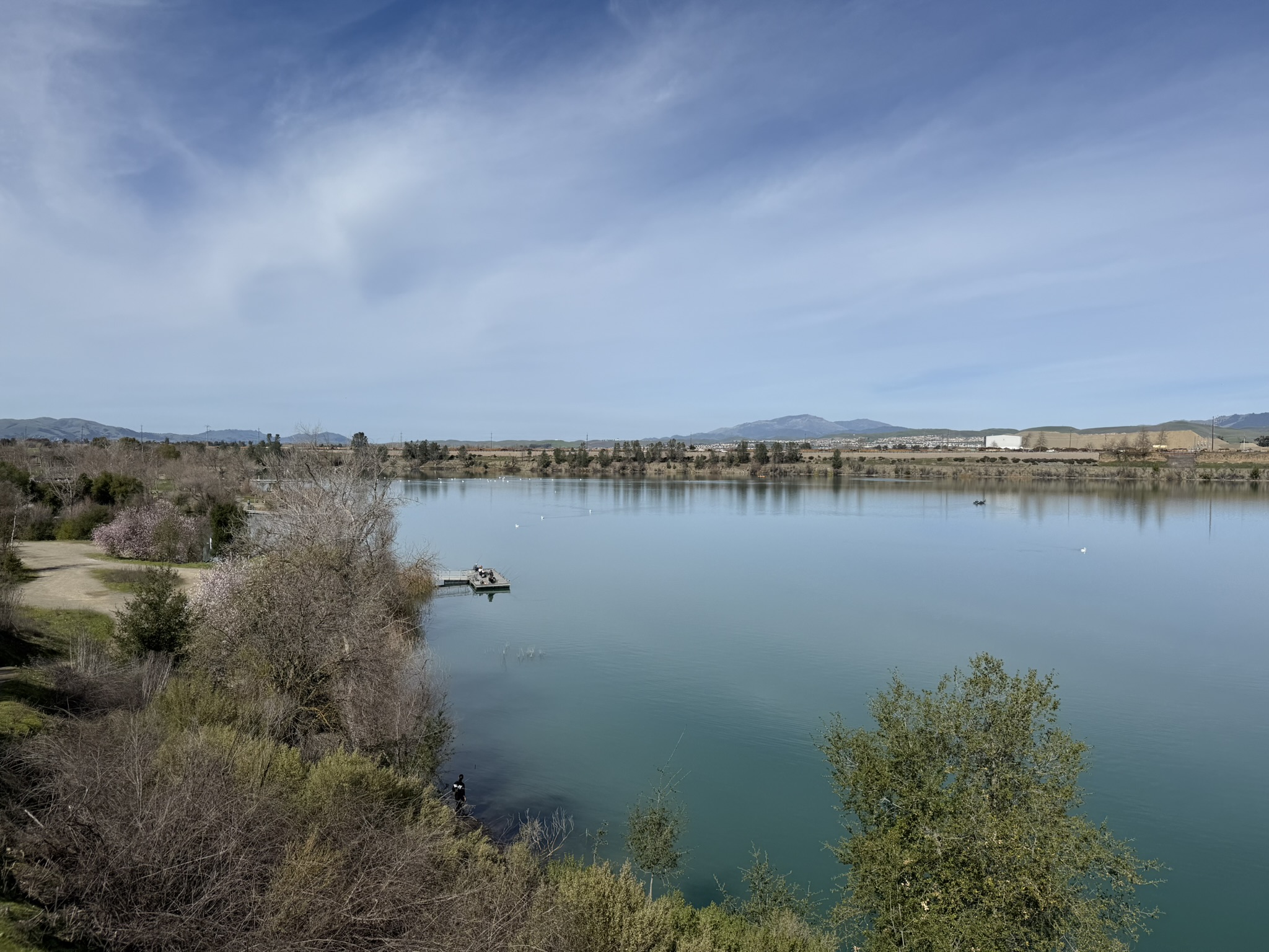 Shadow Cliffs Regional Recreation Area