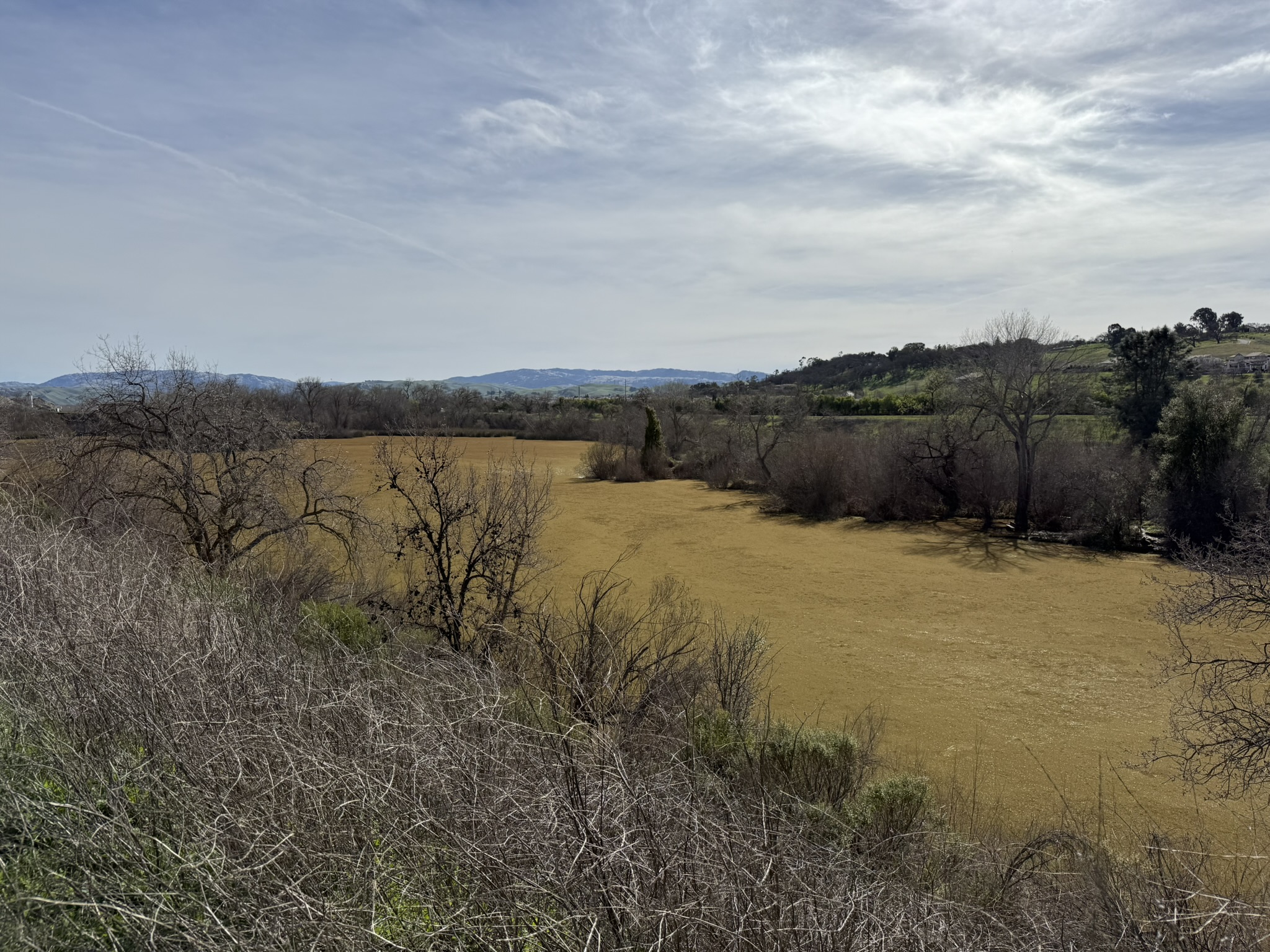 Shadow Cliffs Regional Recreation Area