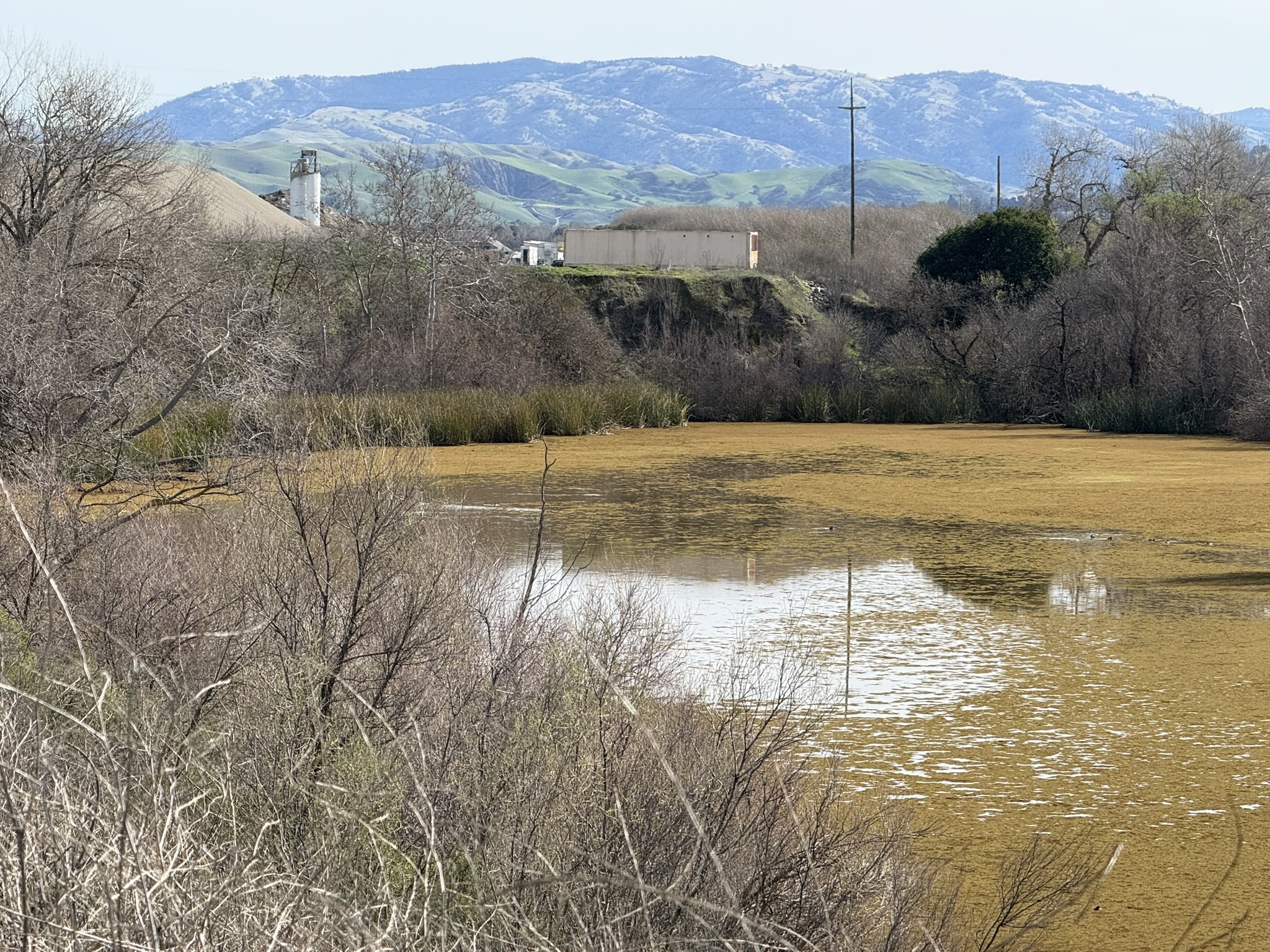 Shadow Cliffs Regional Recreation Area