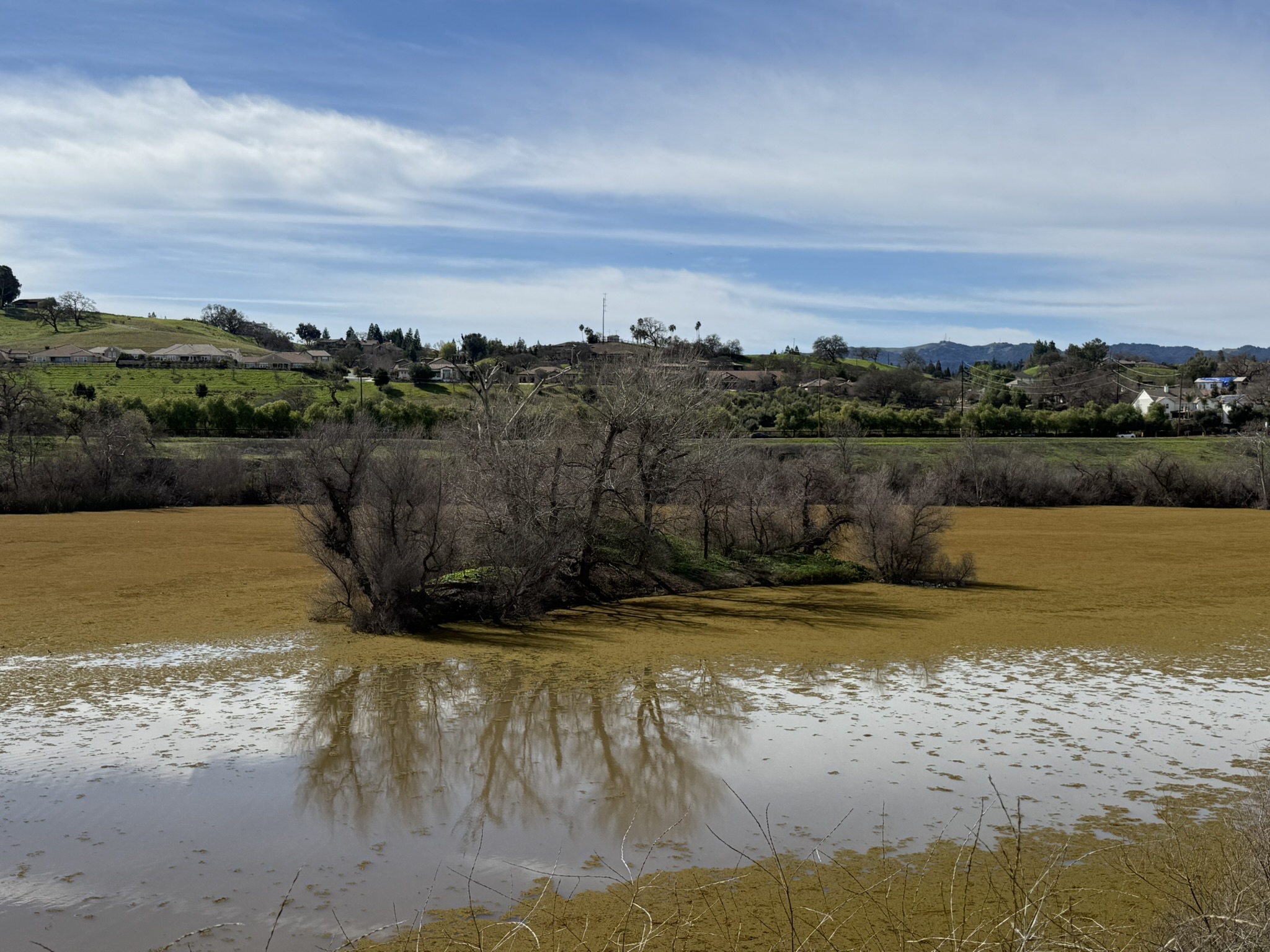 Shadow Cliffs Regional Recreation Area