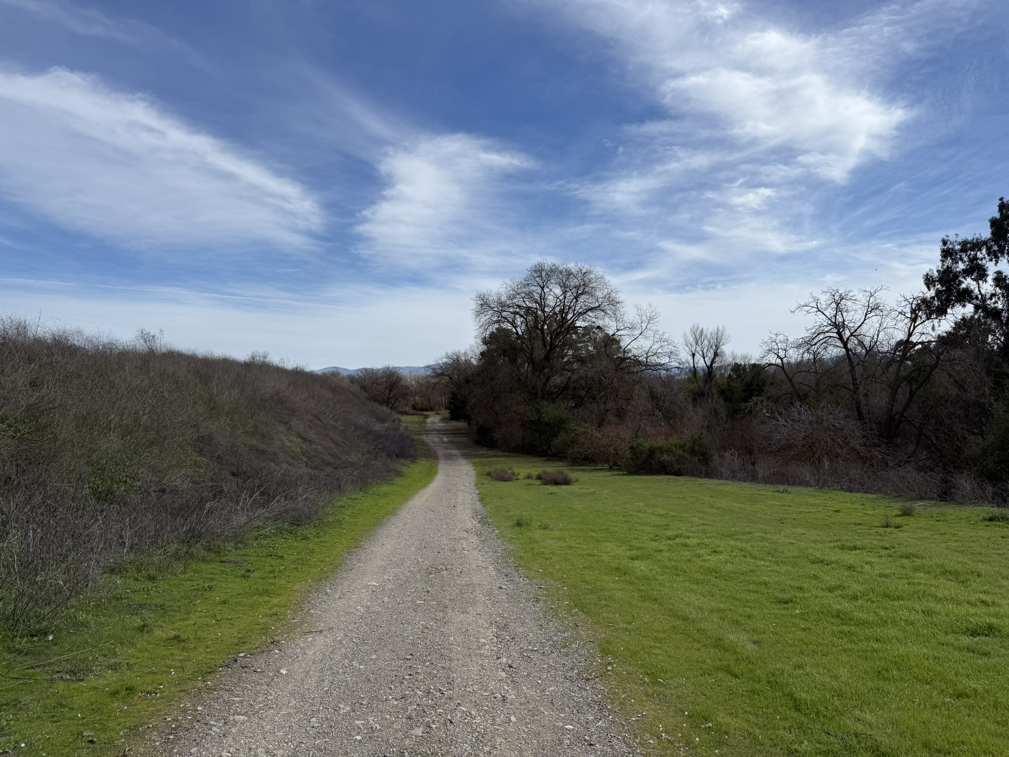 Shadow Cliffs Regional Recreation Area