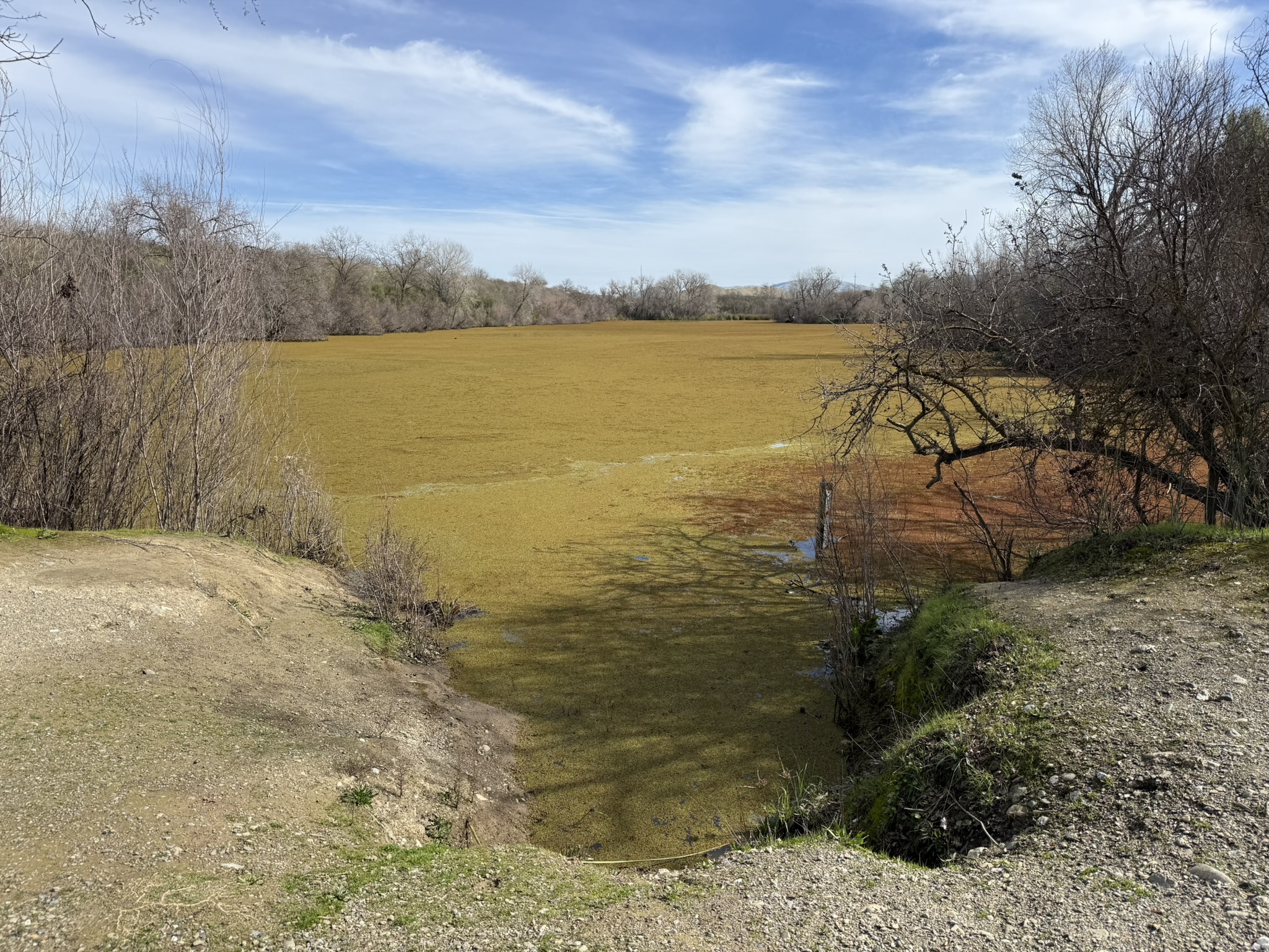 Shadow Cliffs Regional Recreation Area