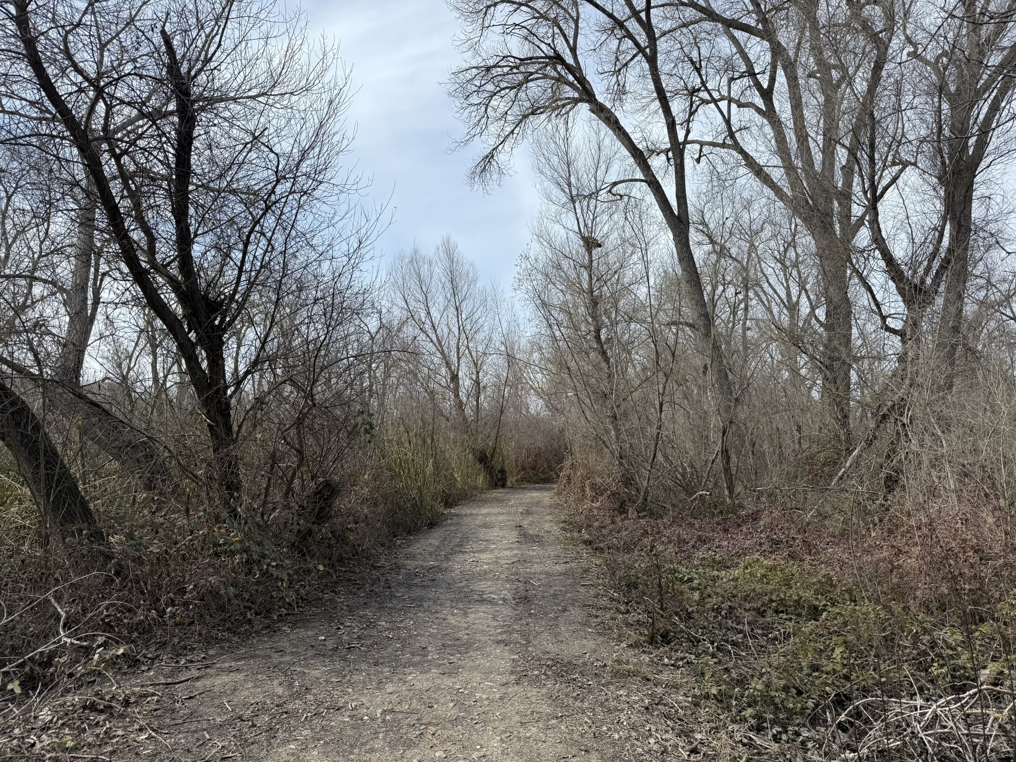 Shadow Cliffs Regional Recreation Area