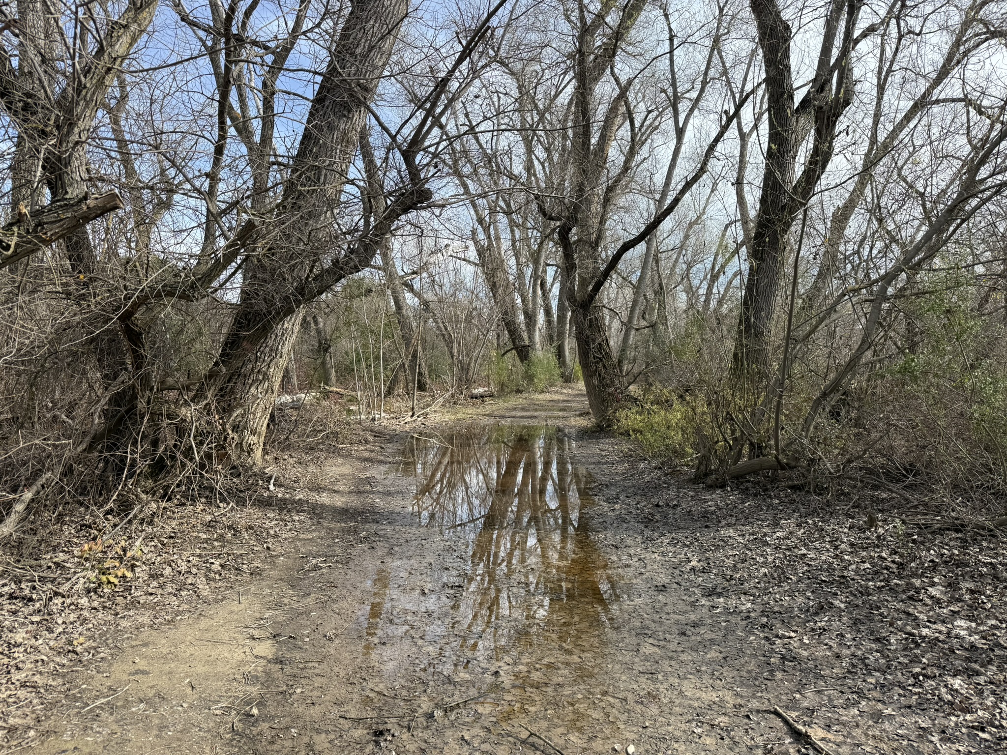 Shadow Cliffs Regional Recreation Area