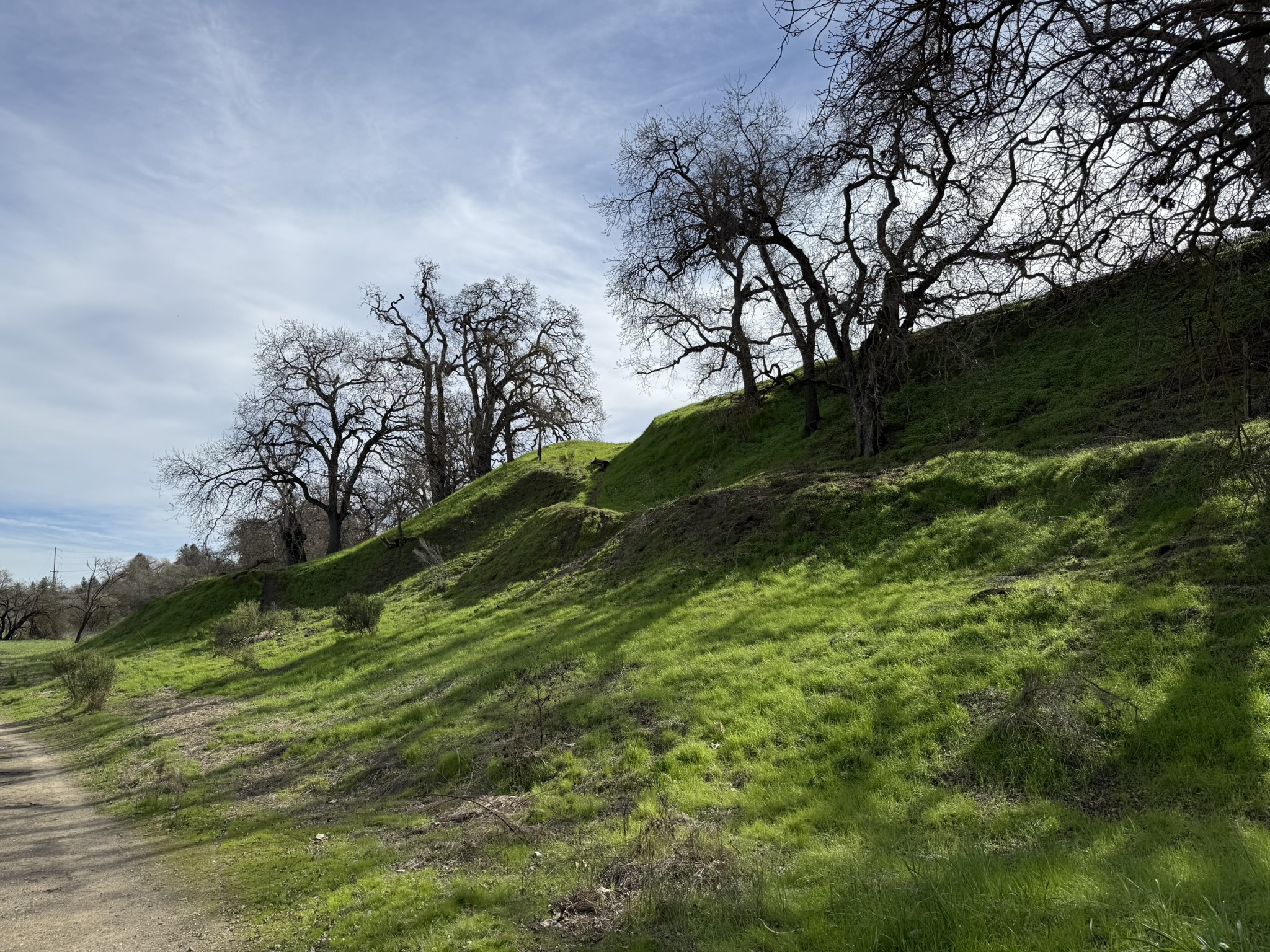 Shadow Cliffs Regional Recreation Area