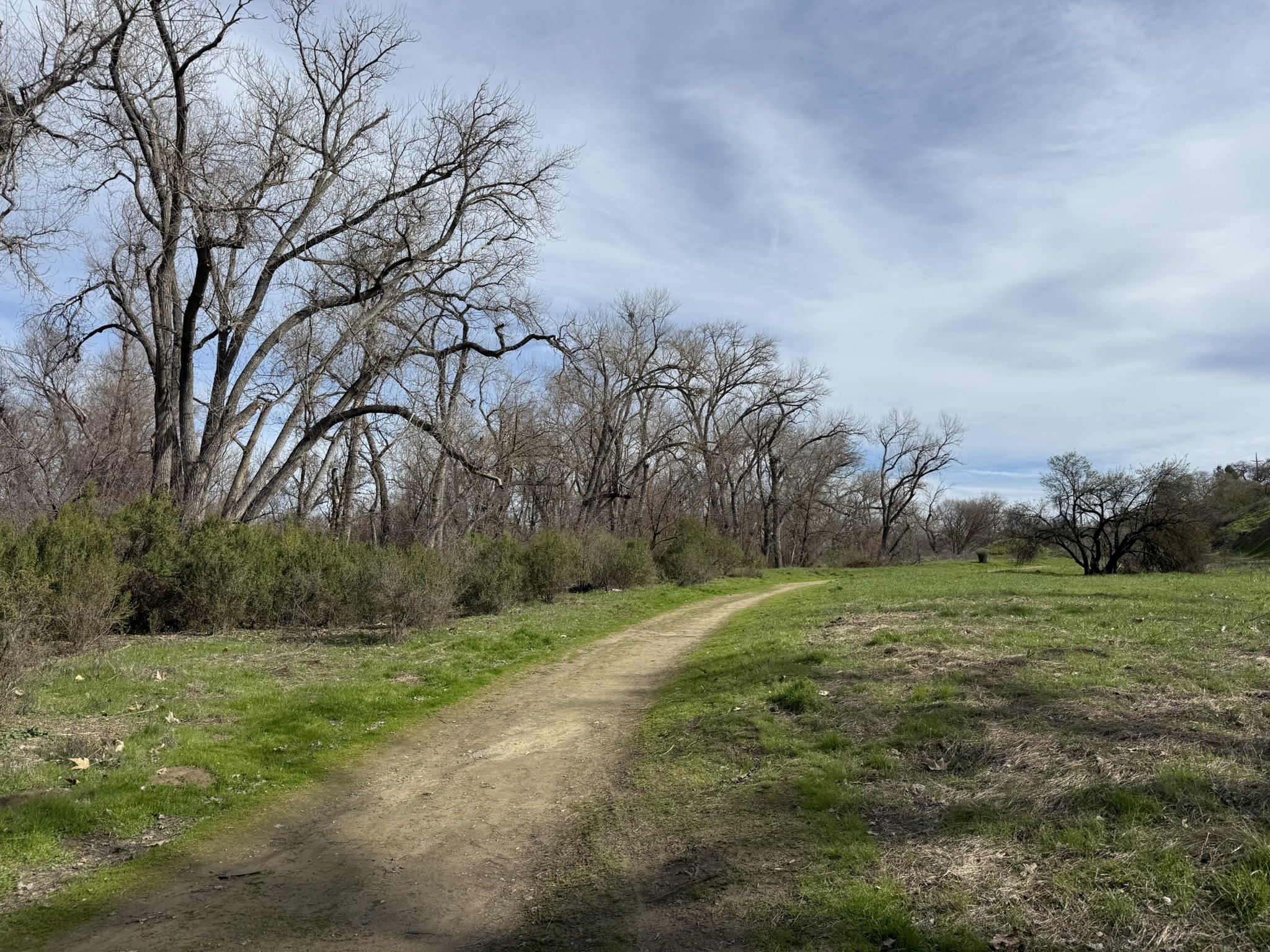 Shadow Cliffs Regional Recreation Area