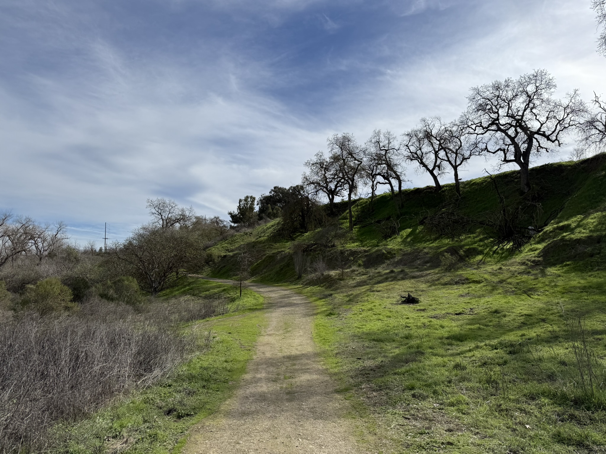 Shadow Cliffs Regional Recreation Area