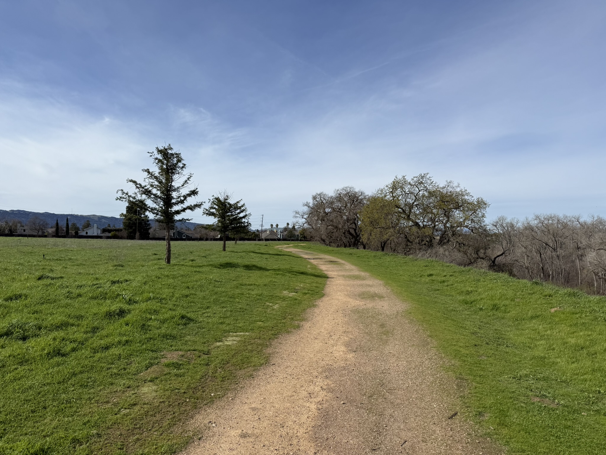 Shadow Cliffs Regional Recreation Area