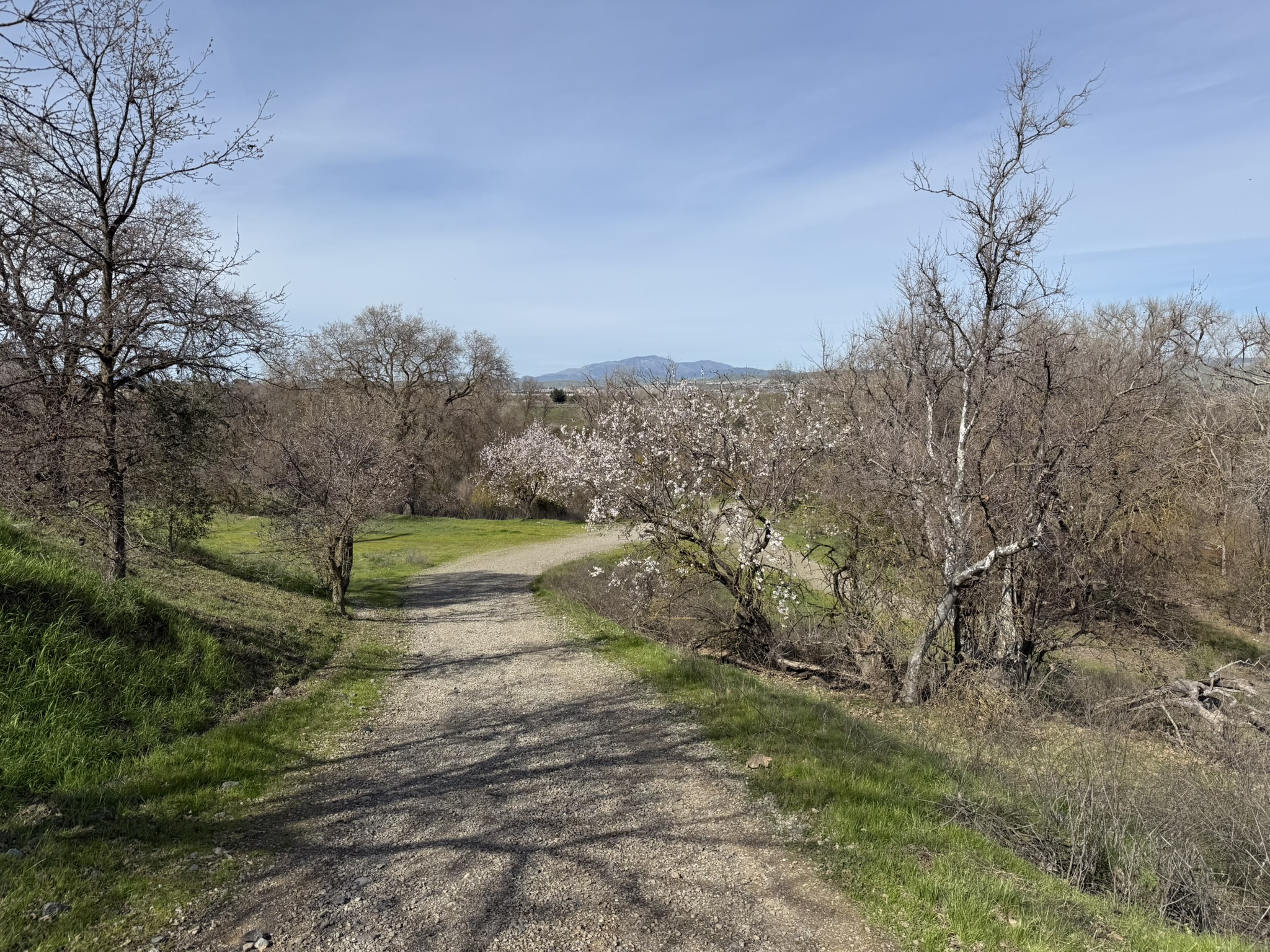 Shadow Cliffs Regional Recreation Area