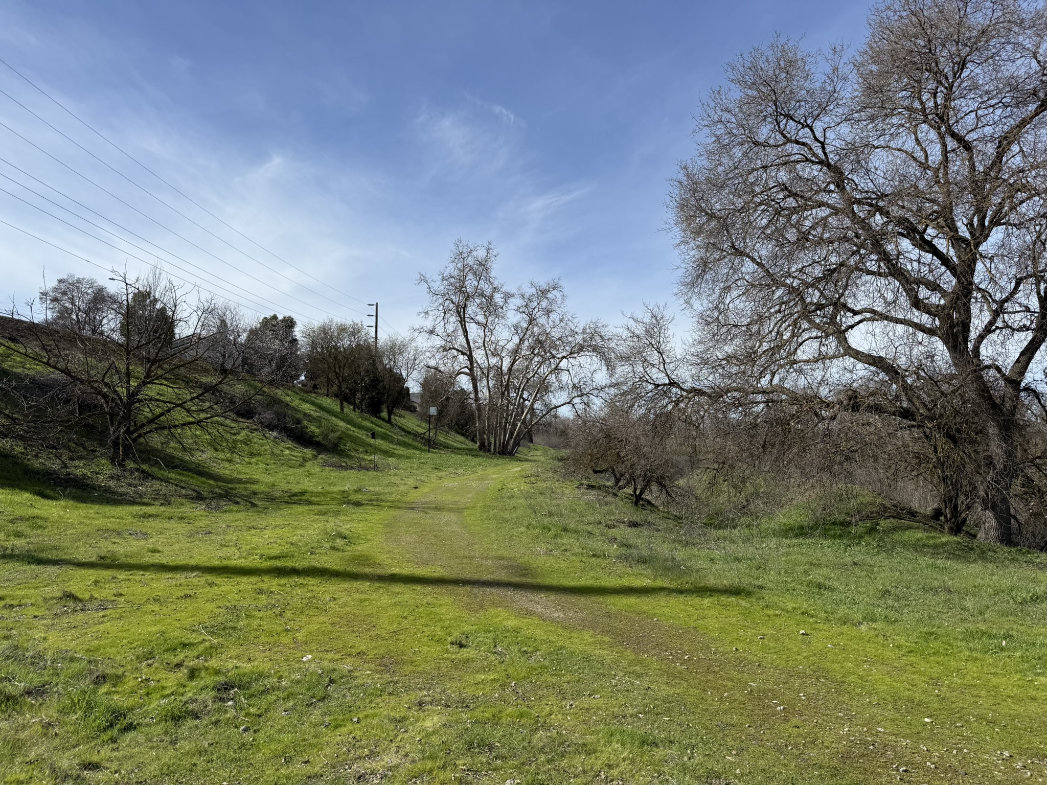 Shadow Cliffs Regional Recreation Area