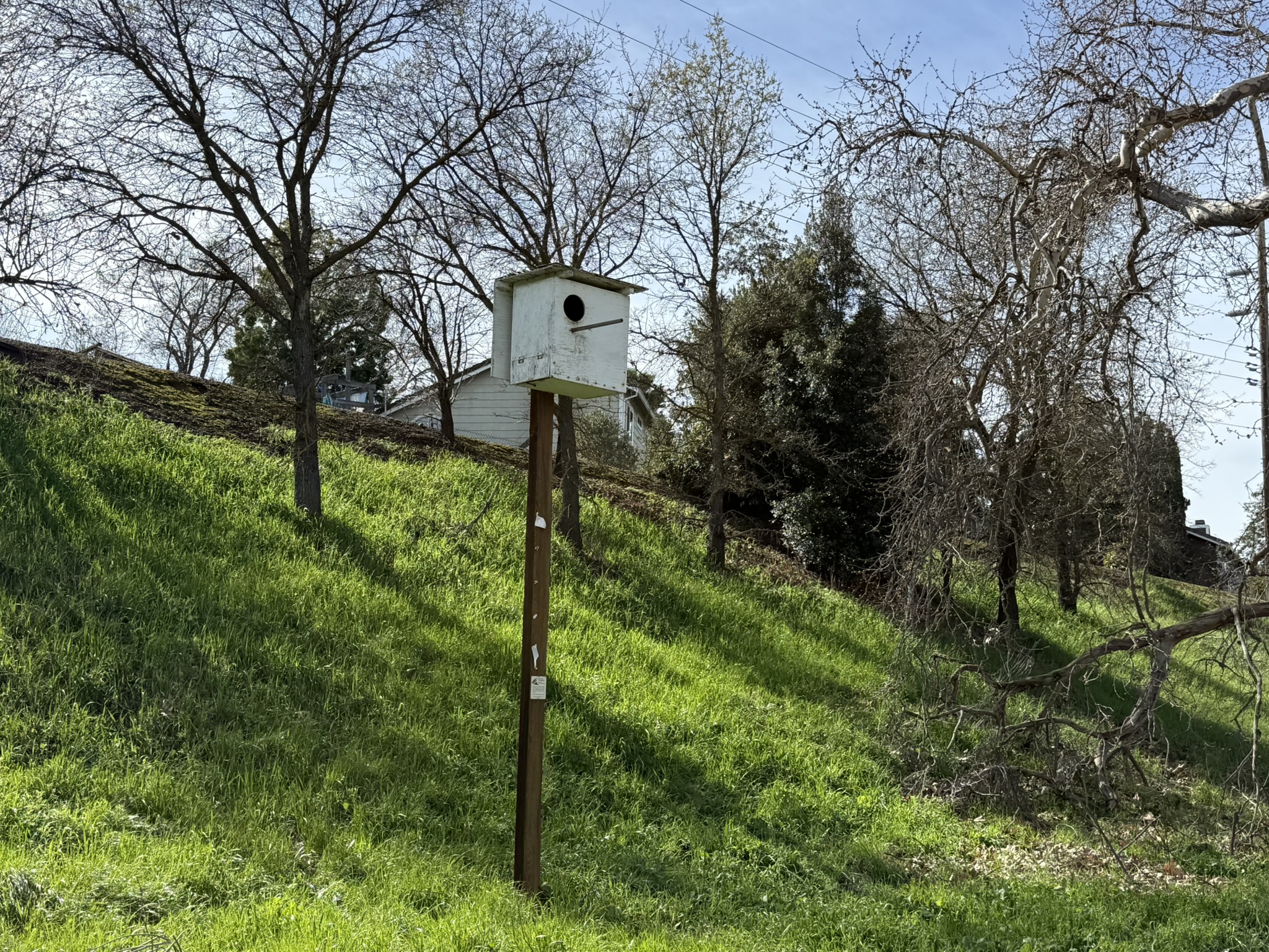 Shadow Cliffs Regional Recreation Area