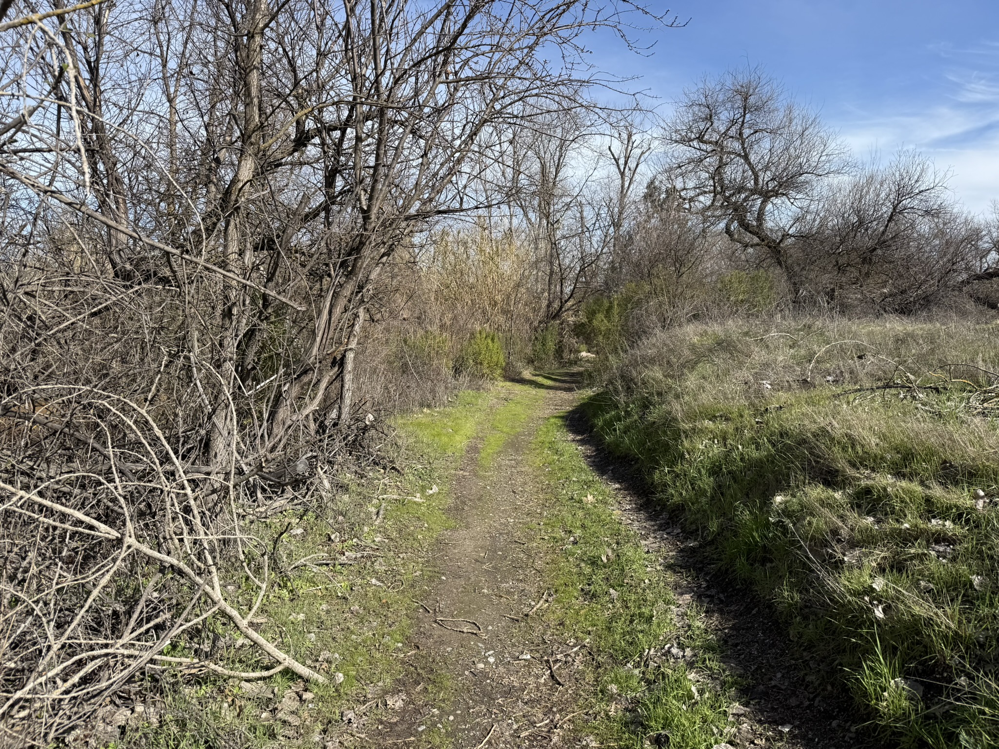 Shadow Cliffs Regional Recreation Area