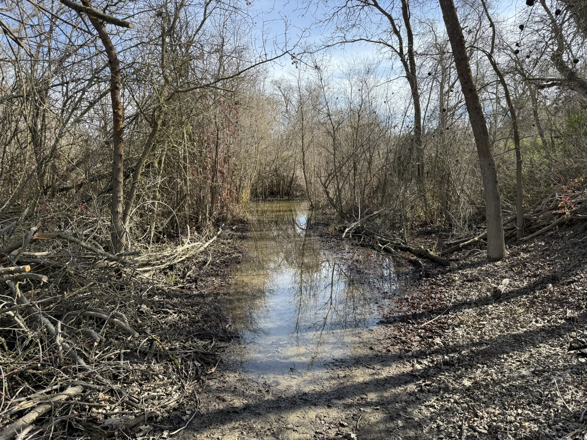 Shadow Cliffs Regional Recreation Area