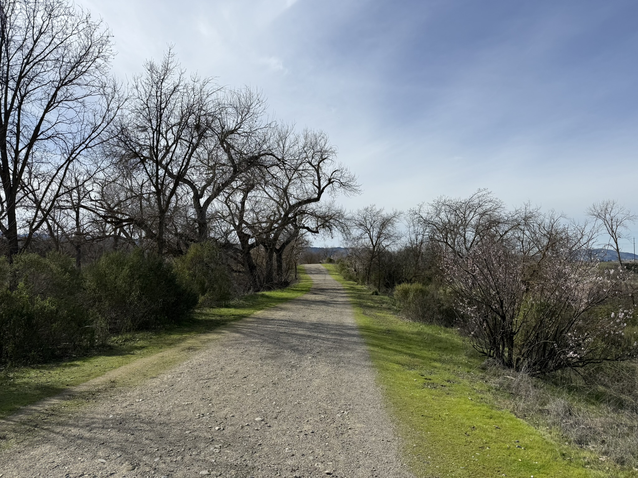 Shadow Cliffs Regional Recreation Area