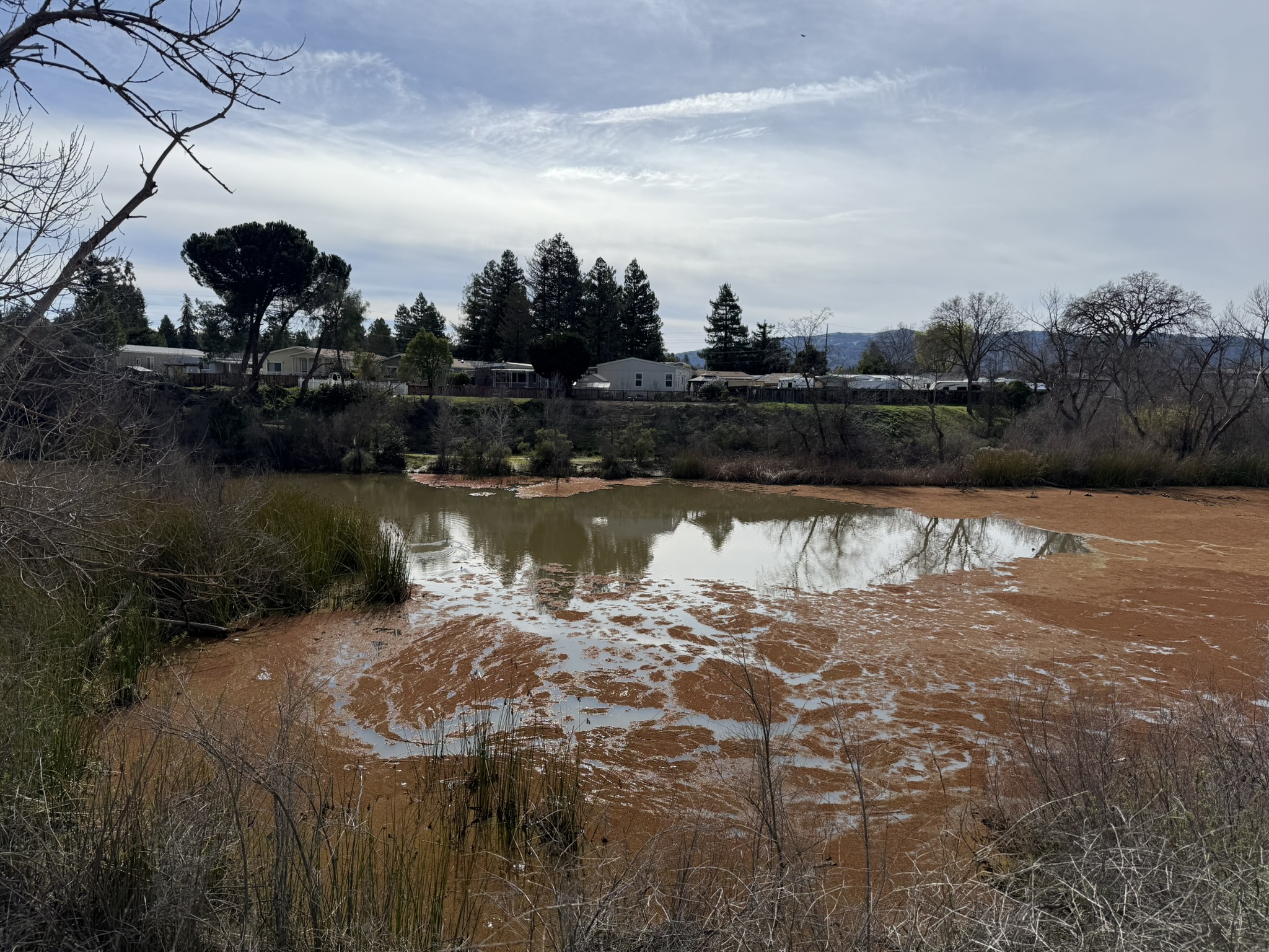 Shadow Cliffs Regional Recreation Area