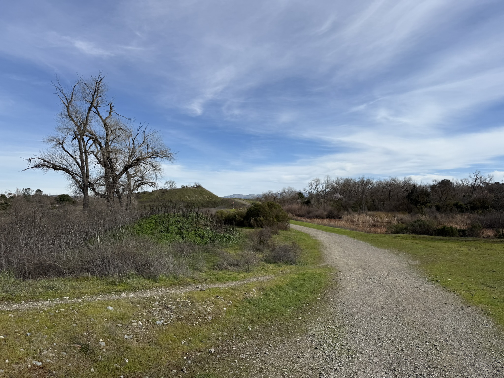 Shadow Cliffs Regional Recreation Area