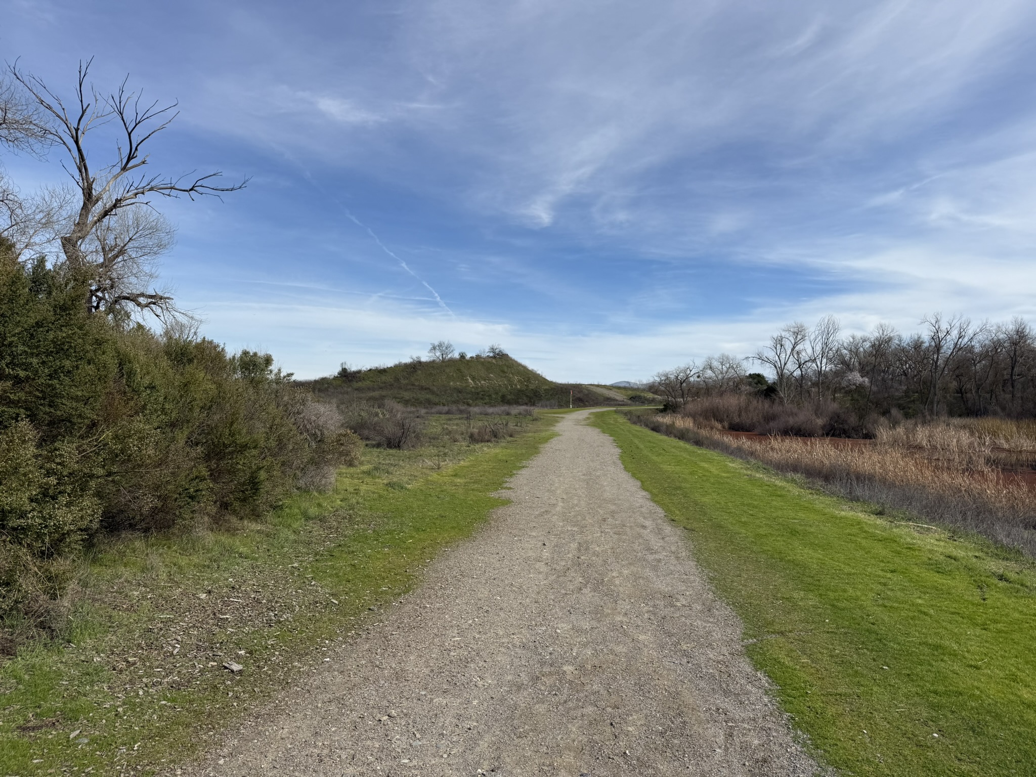 Shadow Cliffs Regional Recreation Area