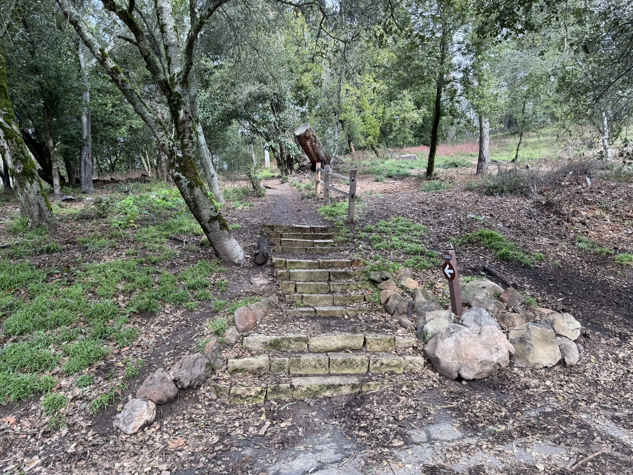 Sibley Volcanic Regional Preserve