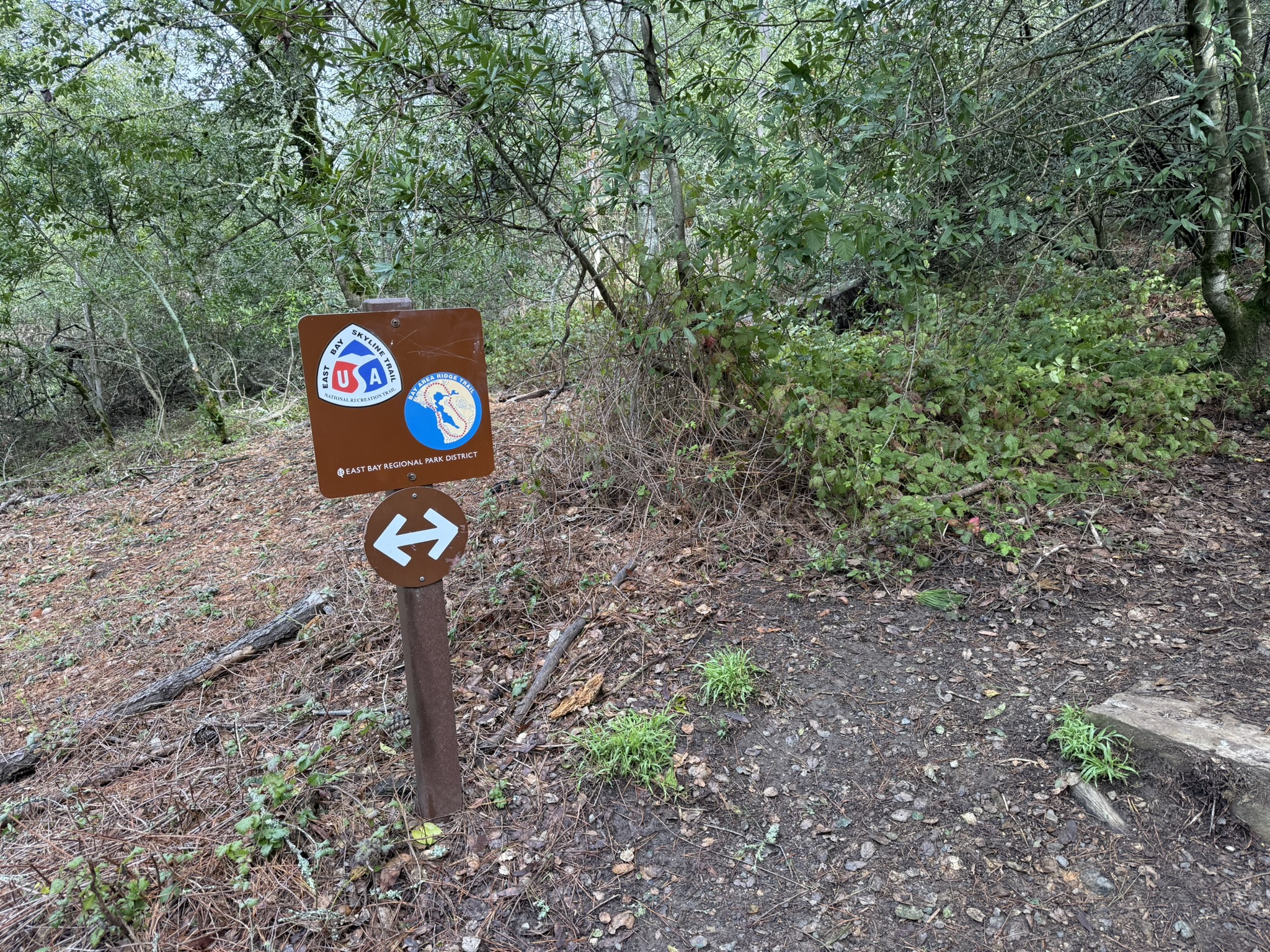 Sibley Volcanic Regional Preserve