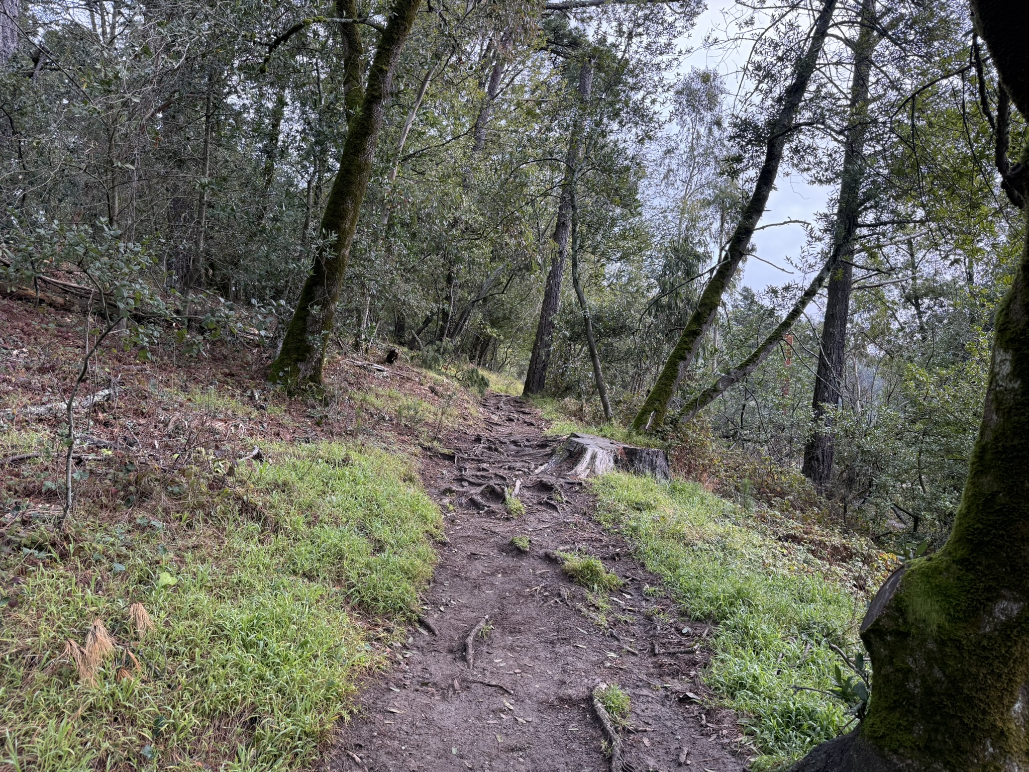 Sibley Volcanic Regional Preserve