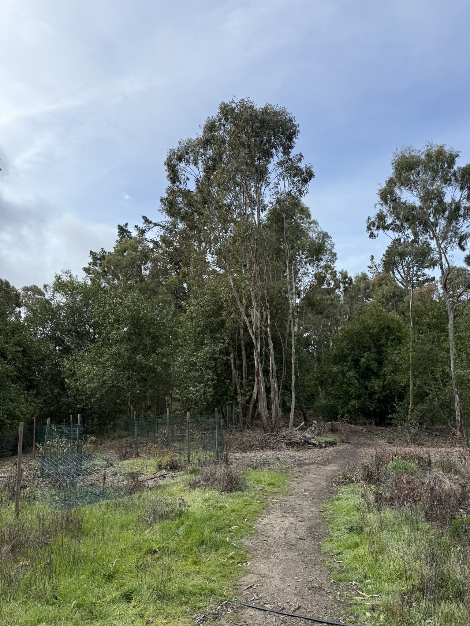 Sibley Volcanic Regional Preserve