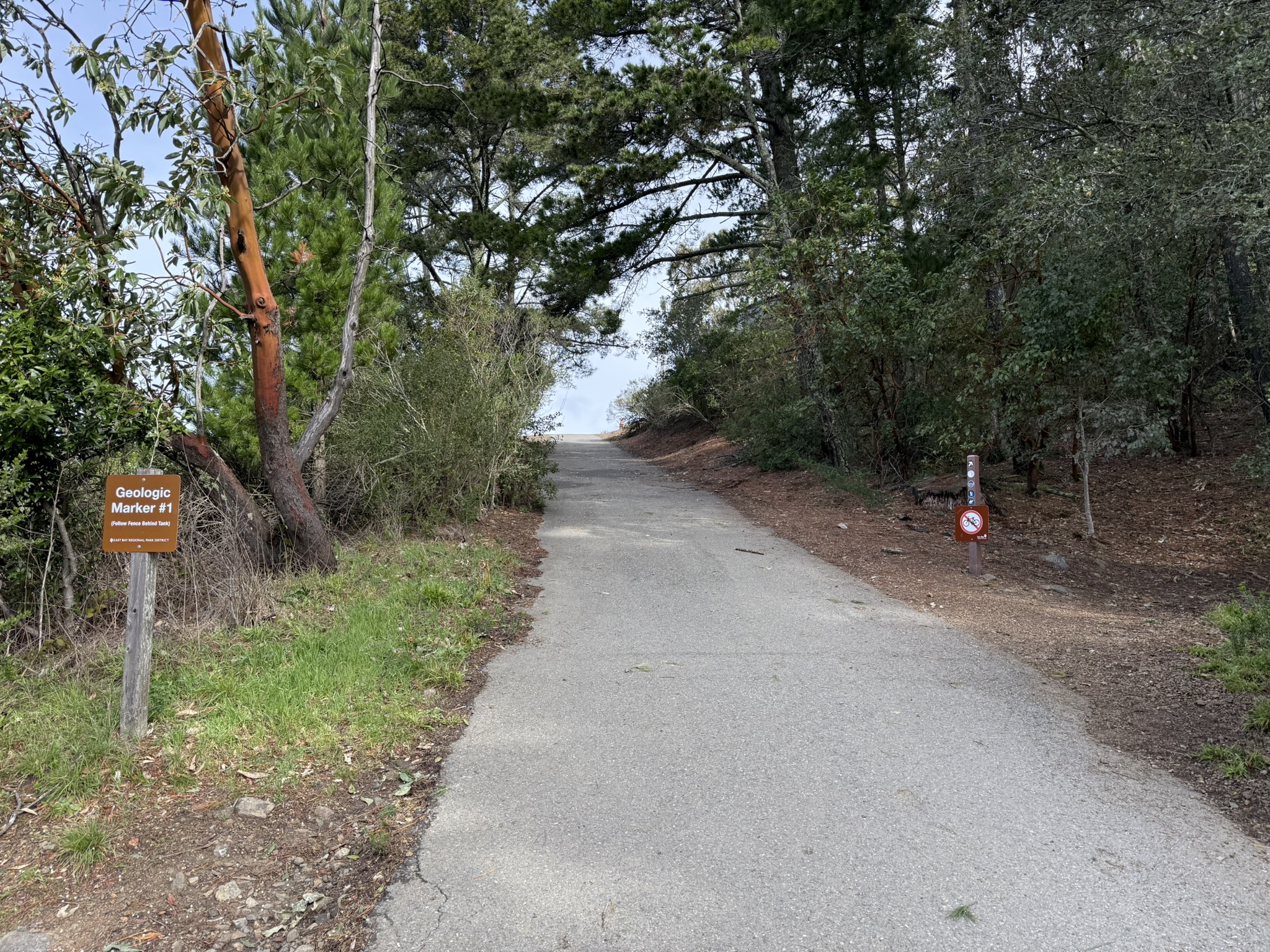 Sibley Volcanic Regional Preserve